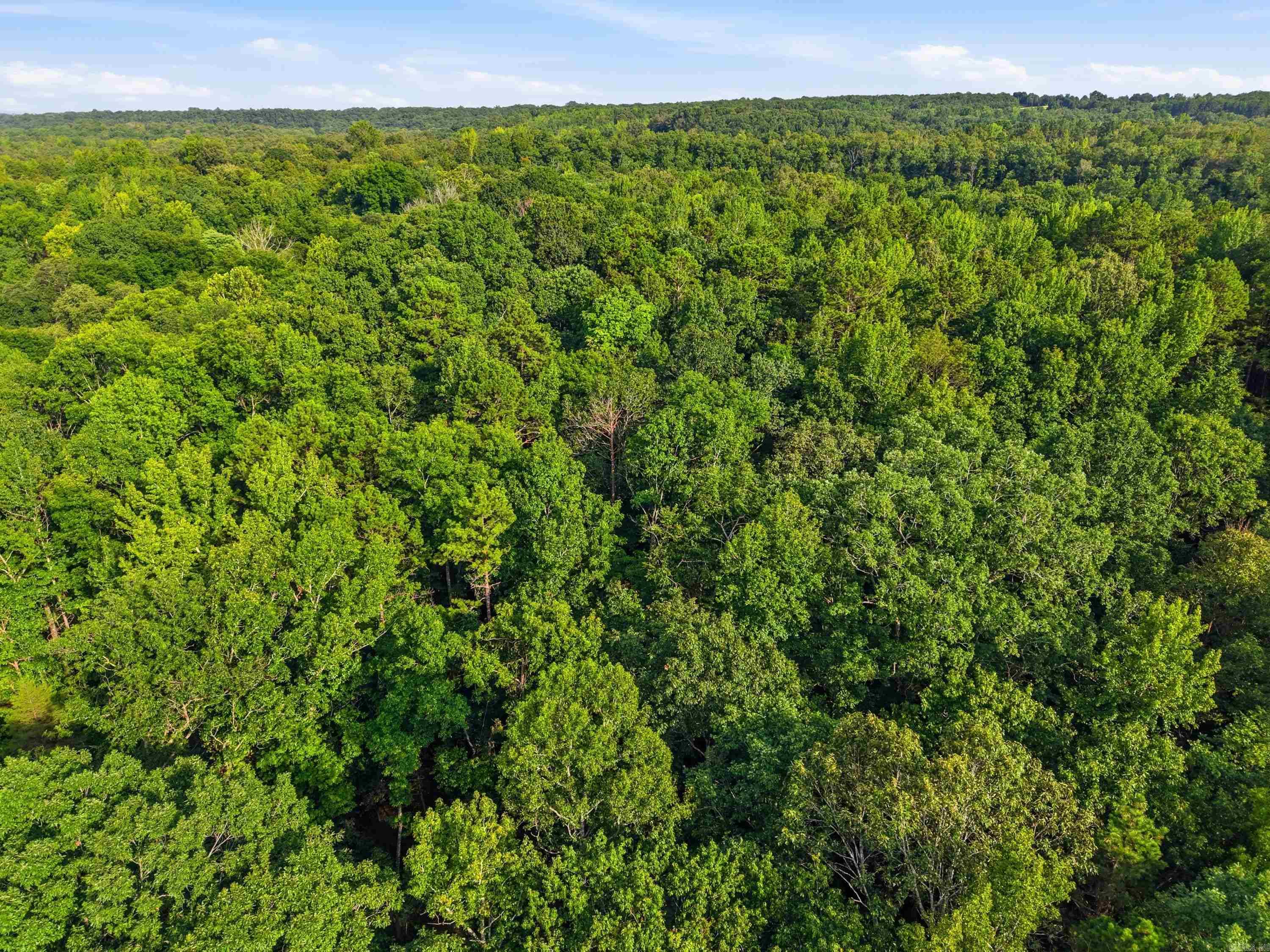 3306 Black Hill Road  Bee Branch, AR