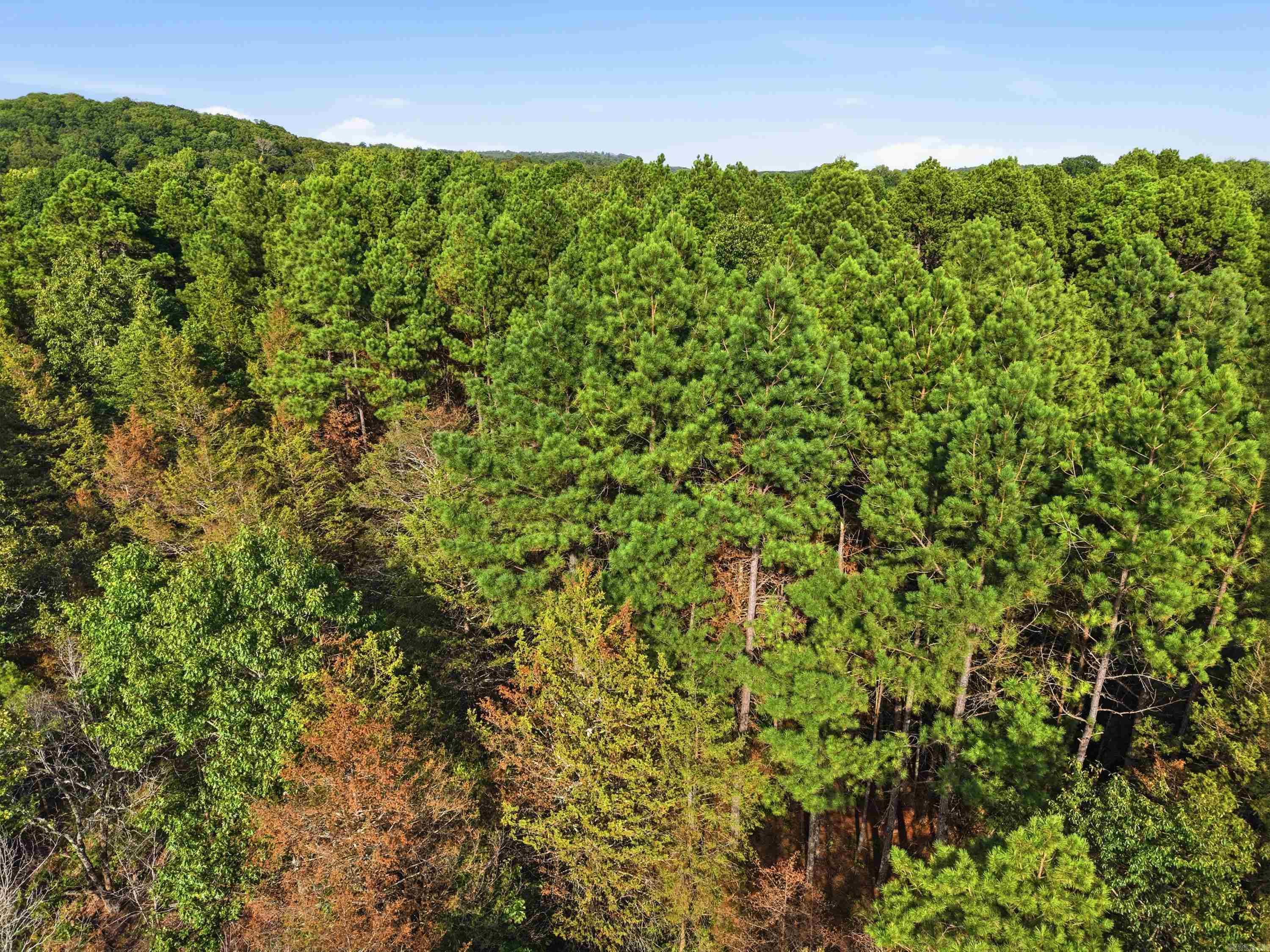 3306 Black Hill Road  Bee Branch, AR