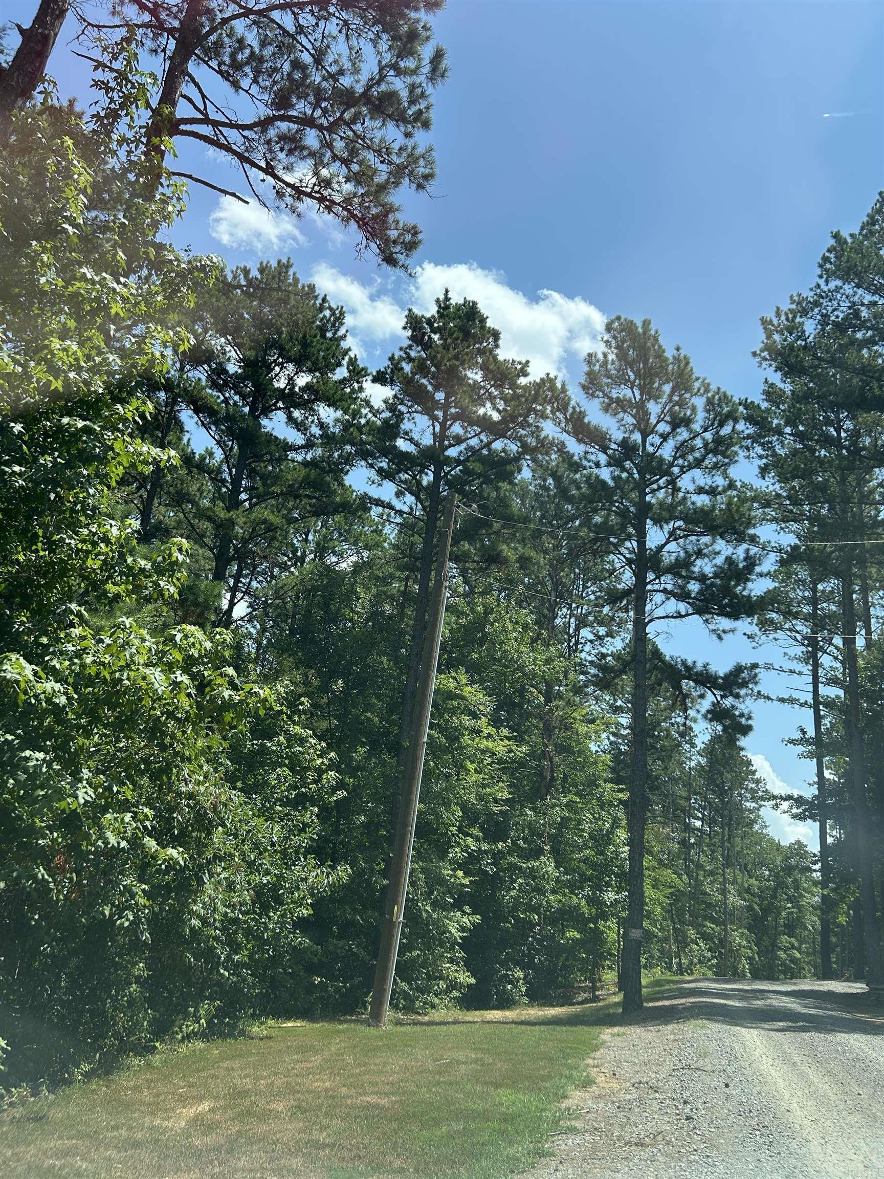 3306 Black Hill Road  Bee Branch, AR