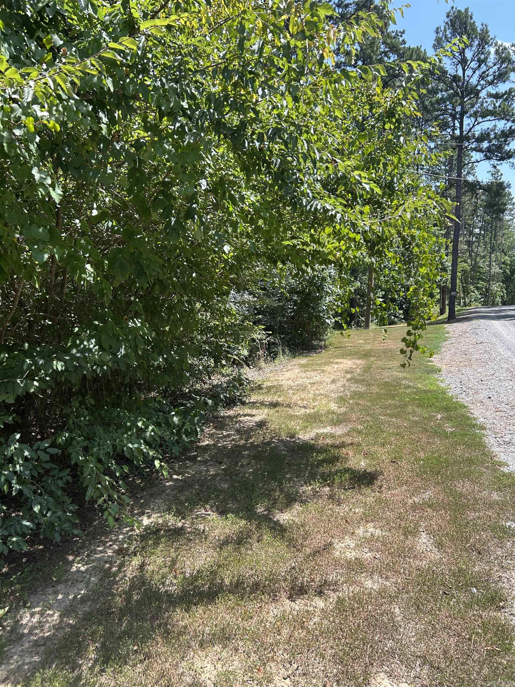 3306 Black Hill Road  Bee Branch, AR