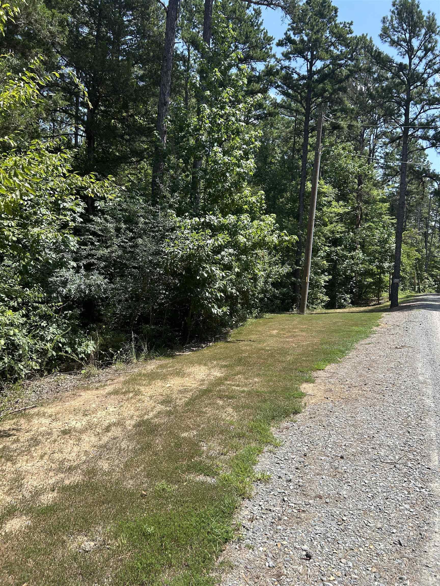 3306 Black Hill Road  Bee Branch, AR