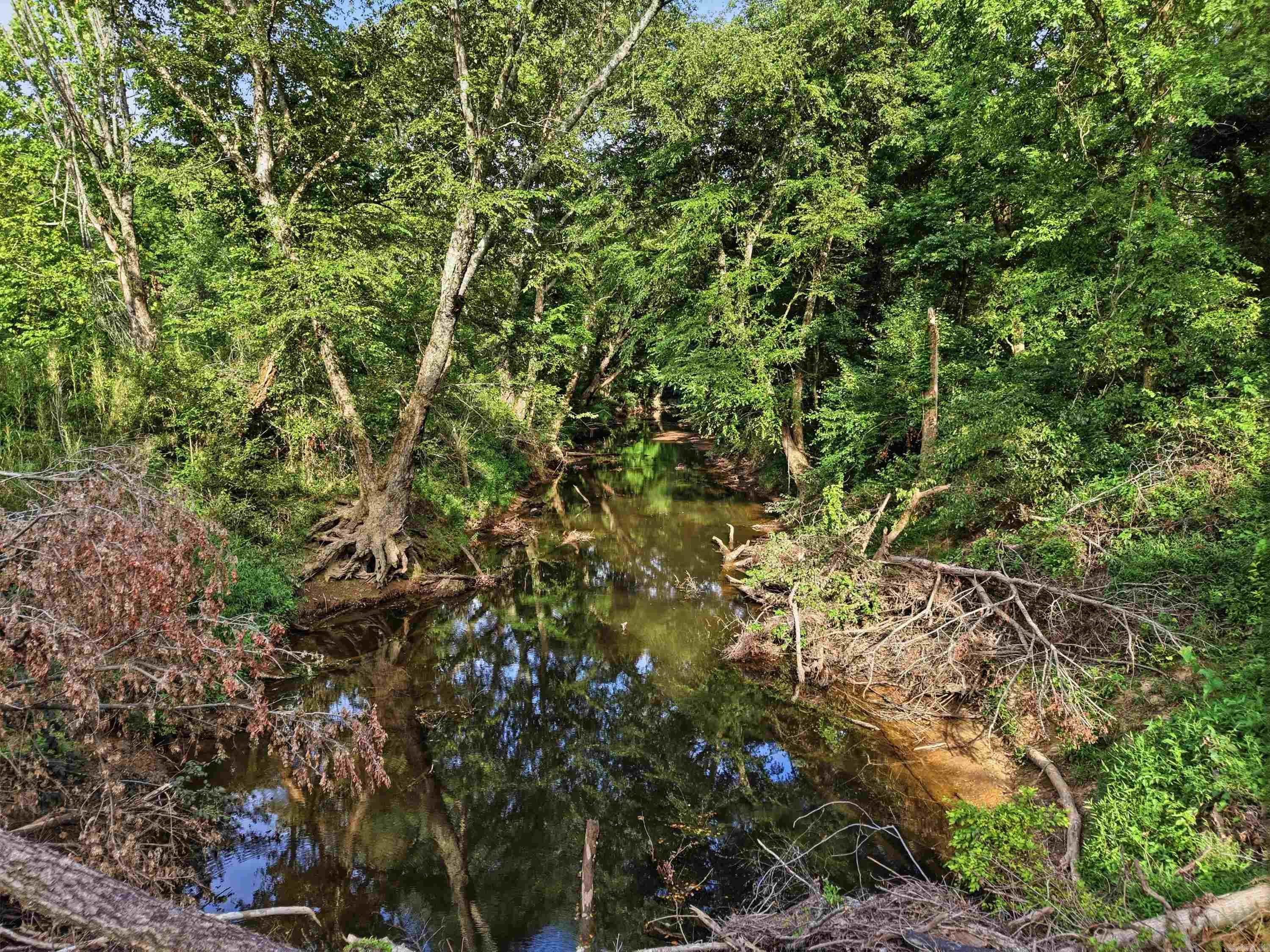 3306 Black Hill Road  Bee Branch, AR