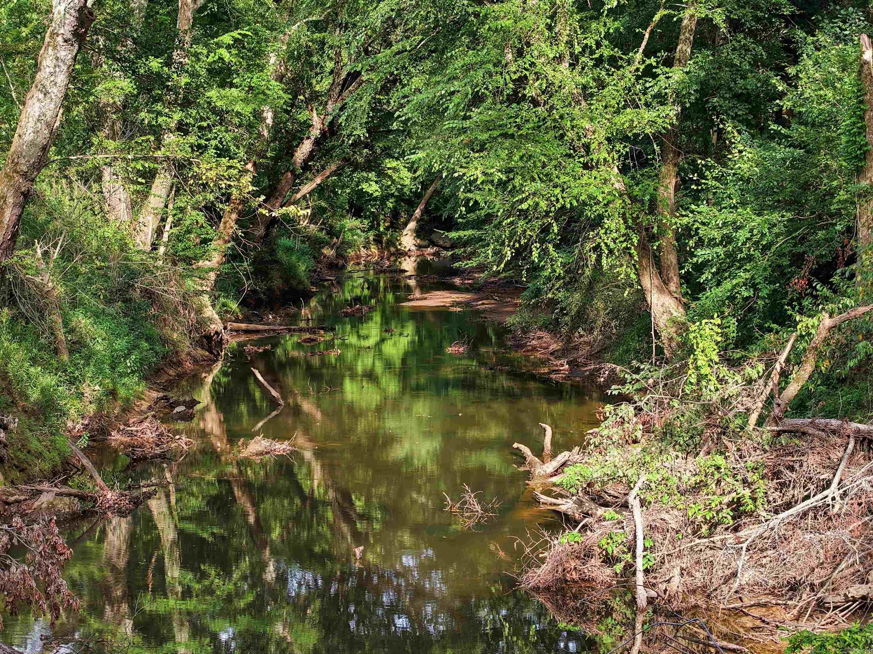 3306 Black Hill Road  Bee Branch, AR