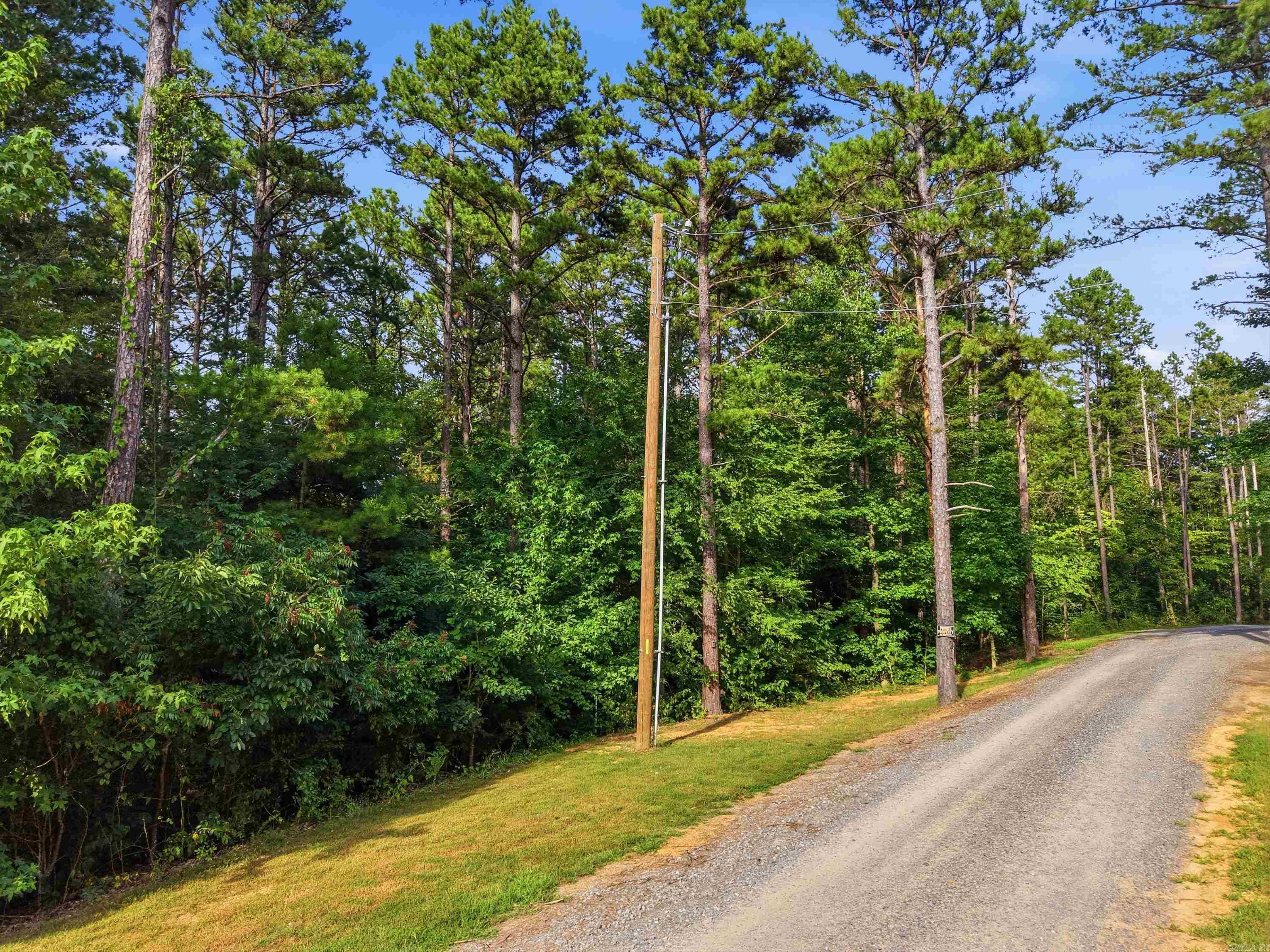 3306 Black Hill Road  Bee Branch, AR