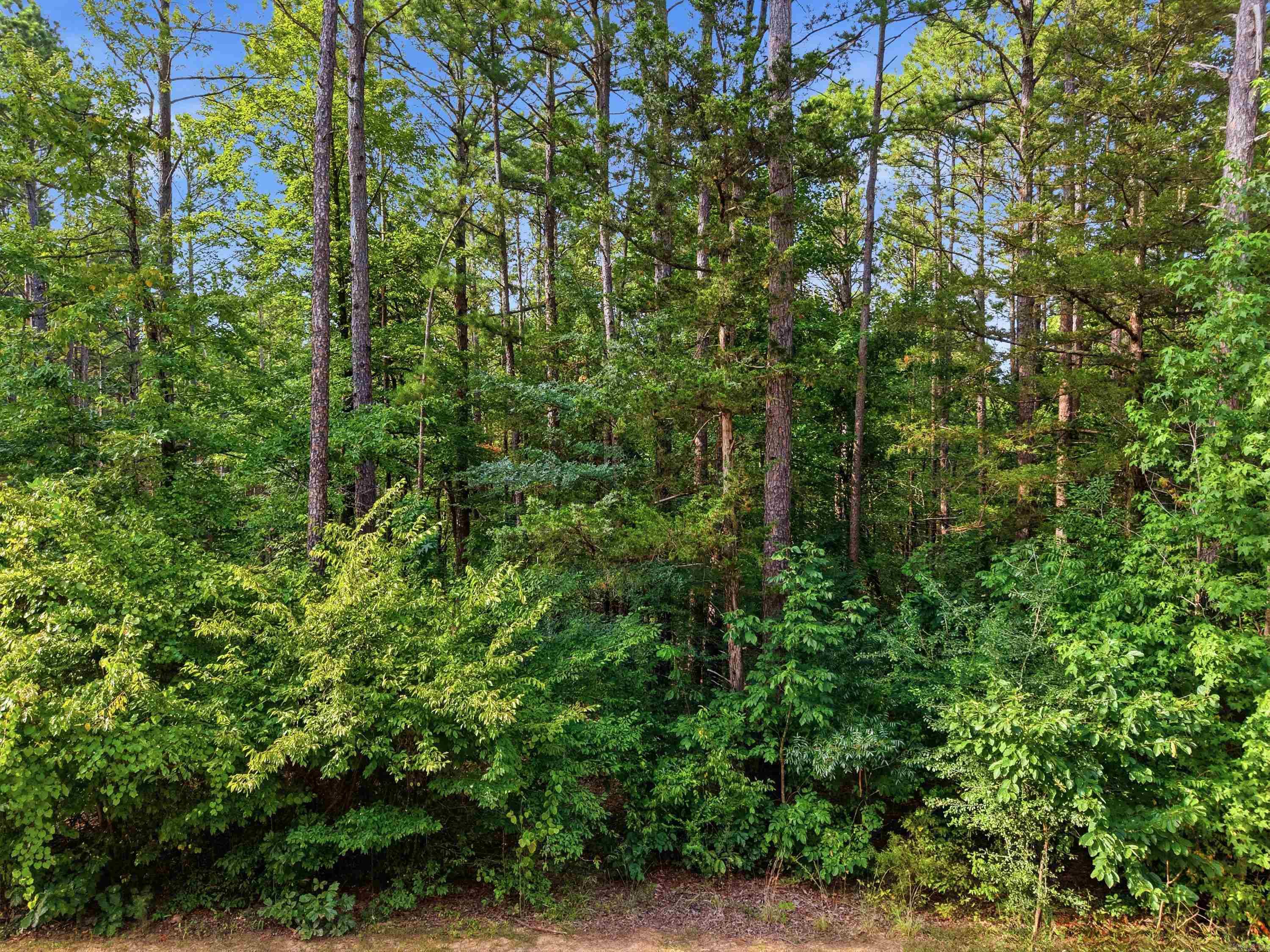 3306 Black Hill Road  Bee Branch, AR
