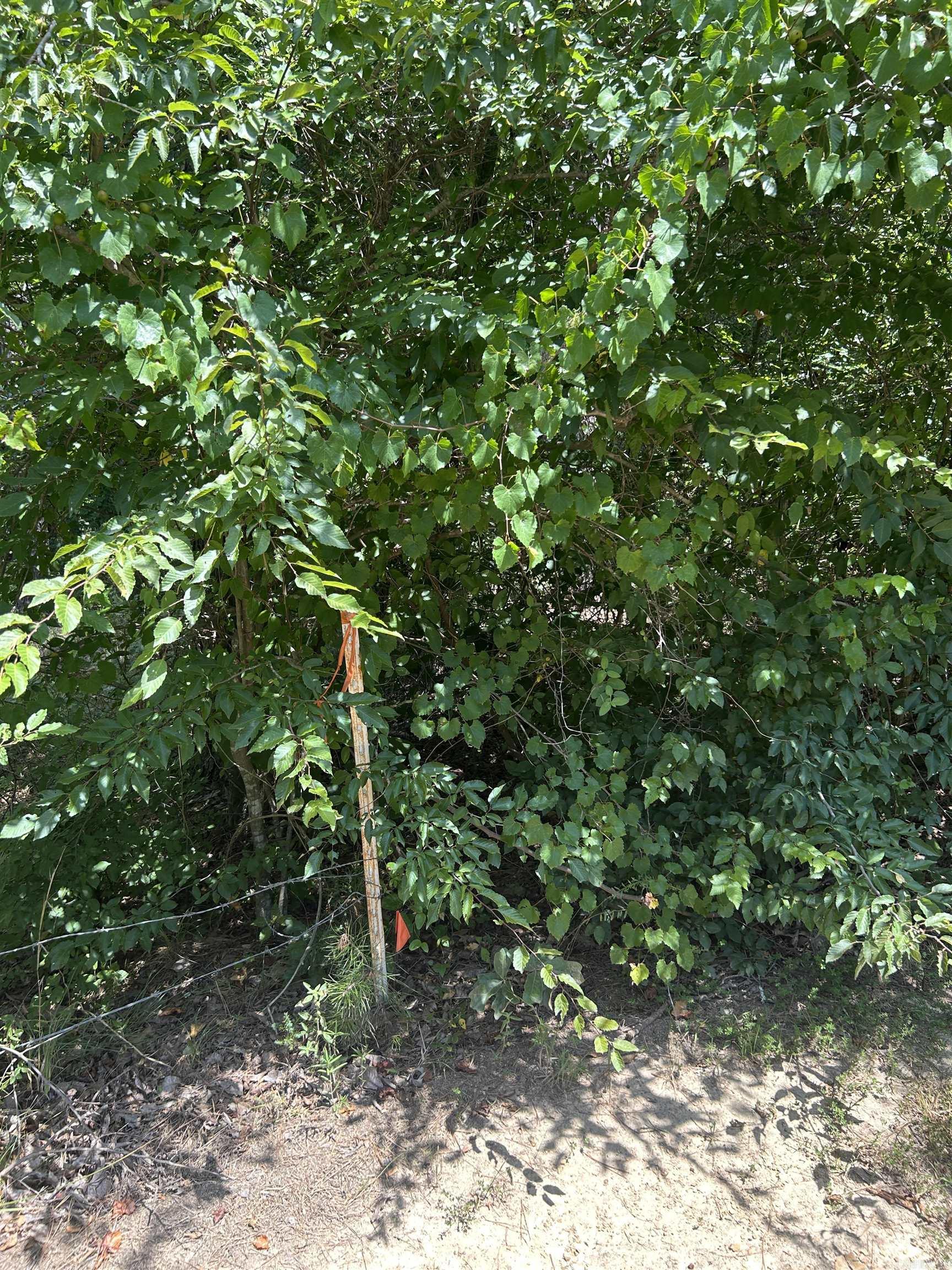 3306 Black Hill Road  Bee Branch, AR