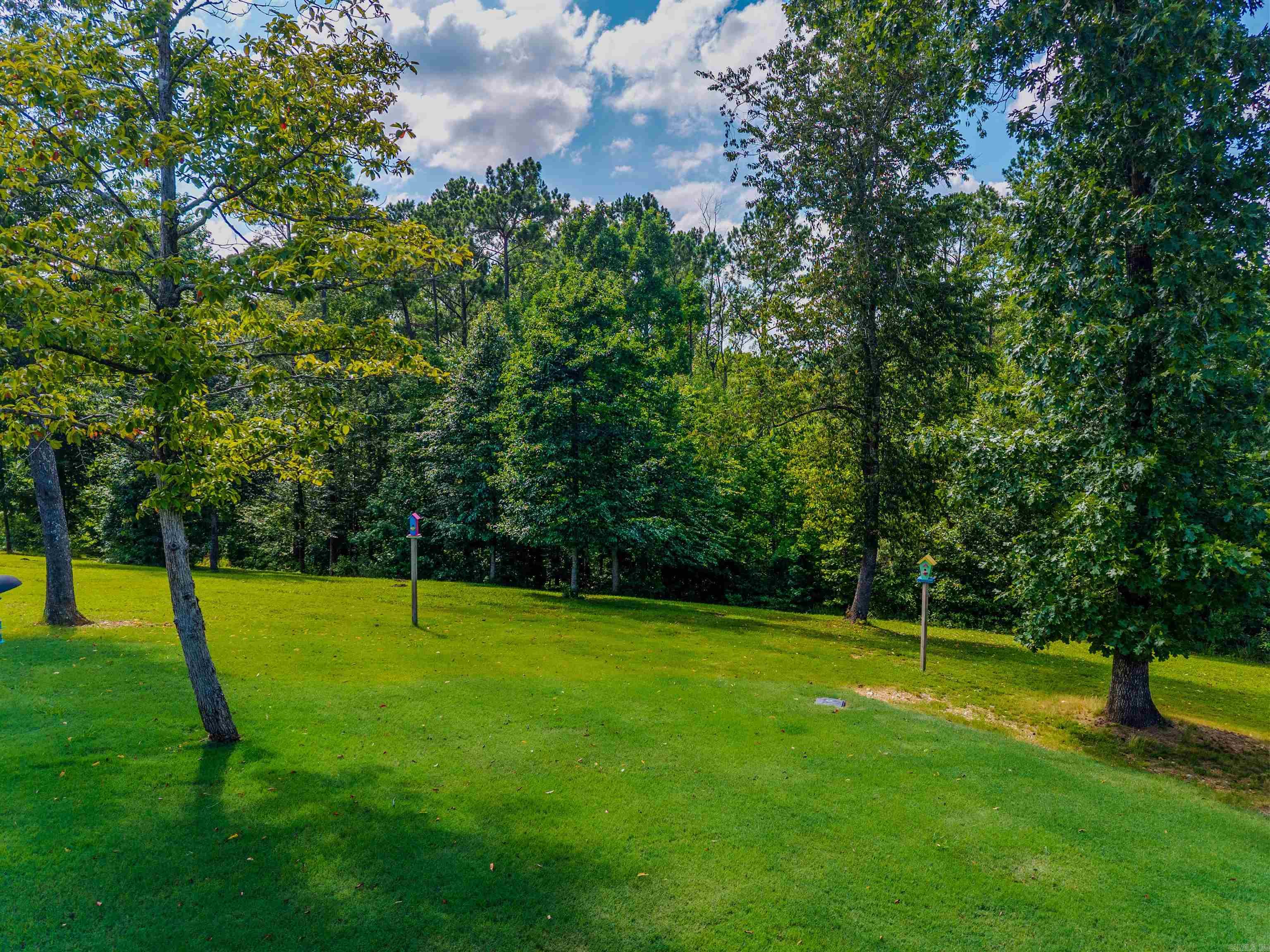 3985 BENT TREE  Benton, AR