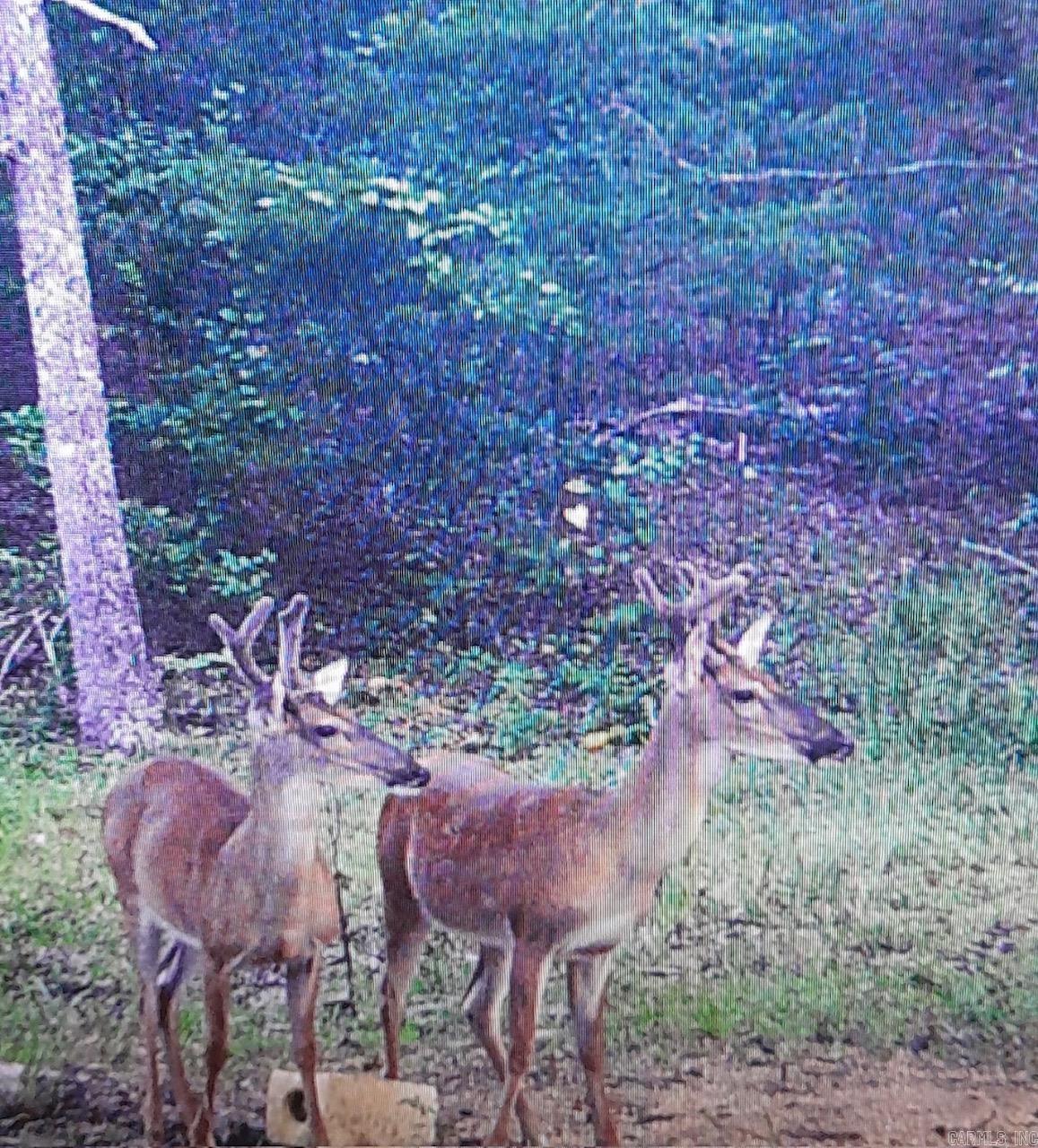 375 N Wilson Wells Rd  Poughkeepsie, AR