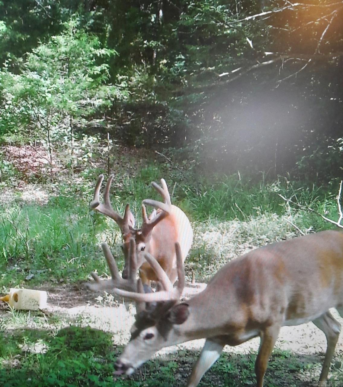 375 N Wilson Wells Rd  Poughkeepsie, AR