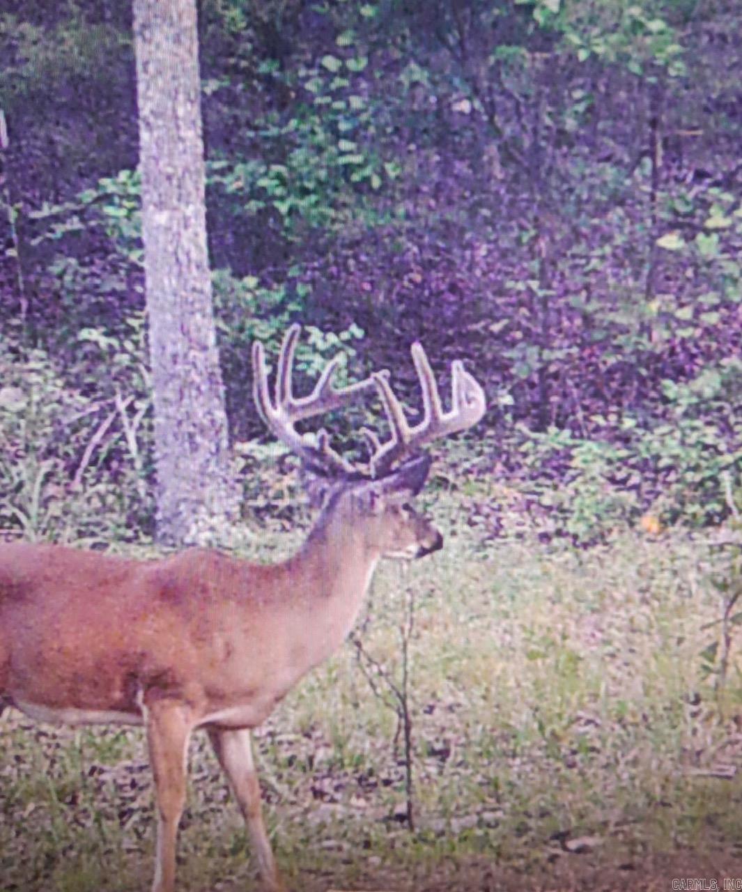 375 N Wilson Wells Rd  Poughkeepsie, AR