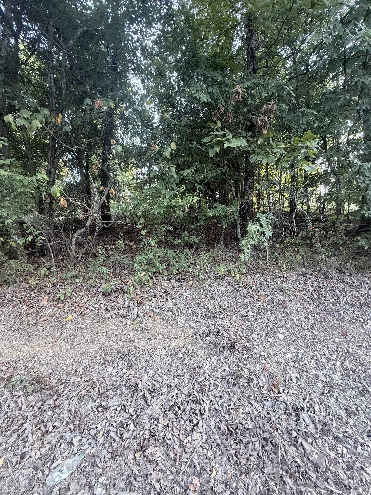lot 10 Ridge  Mayflower, AR