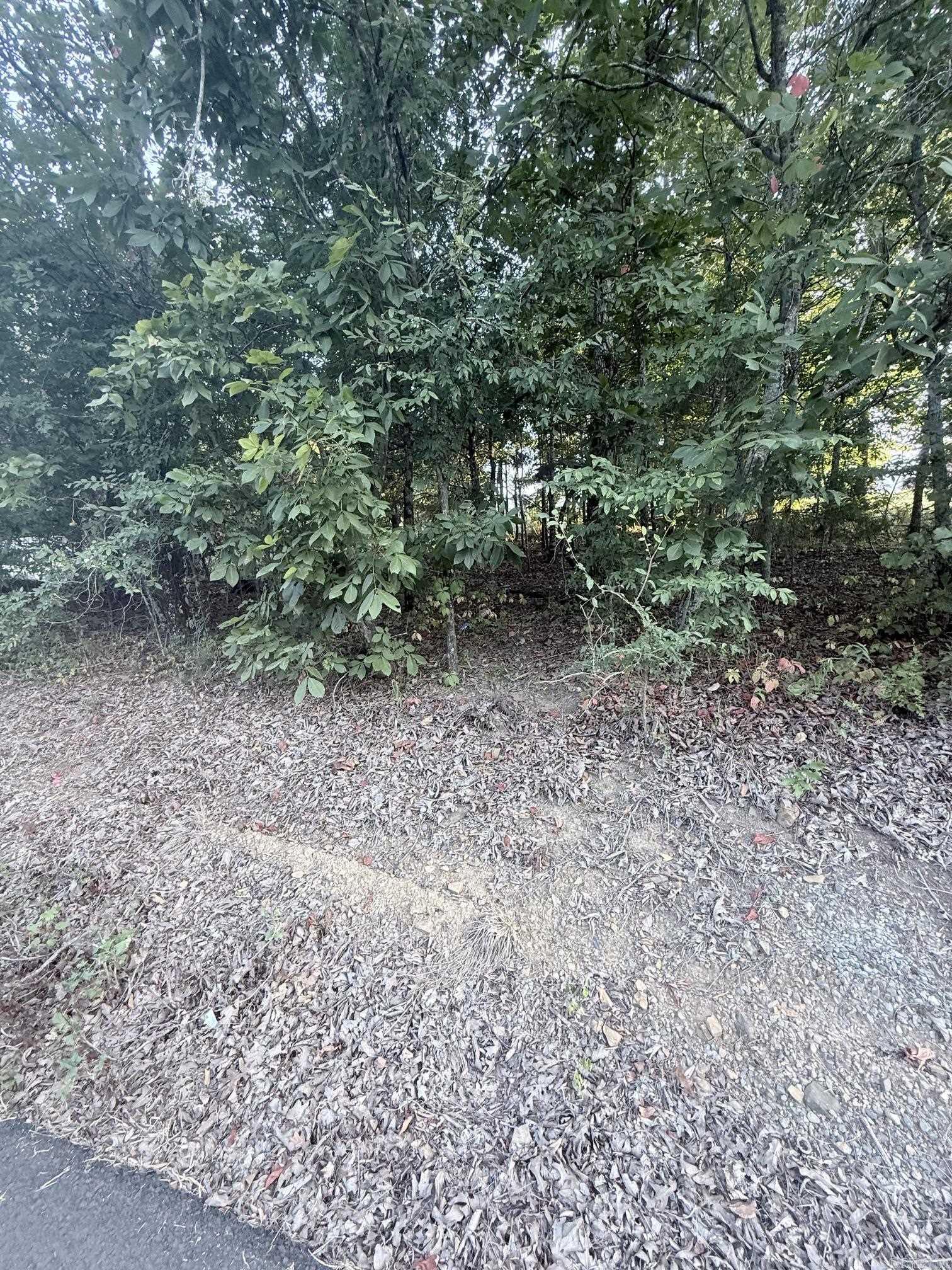 lot 10 Ridge  Mayflower, AR