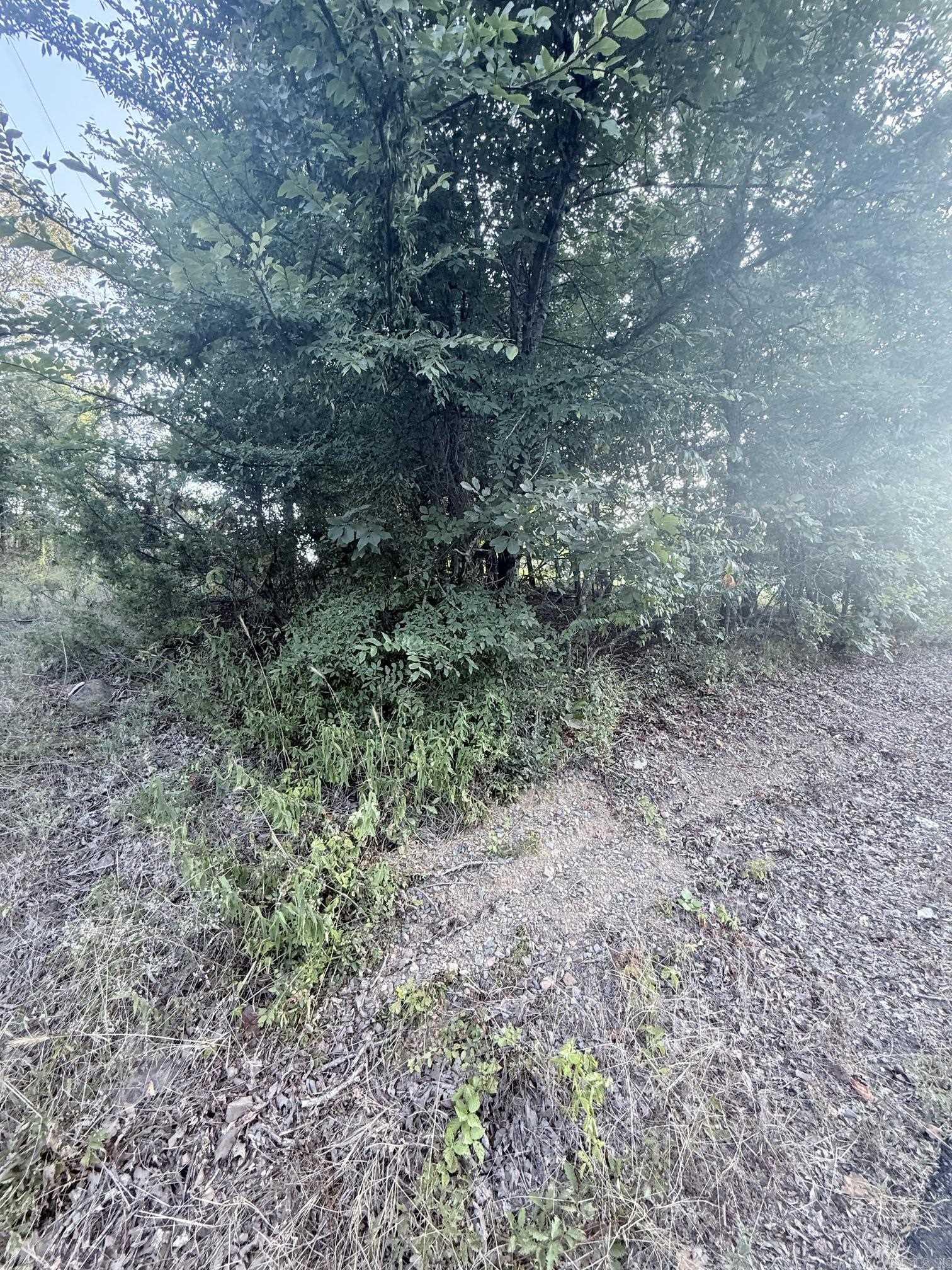 lot 10 Ridge  Mayflower, AR