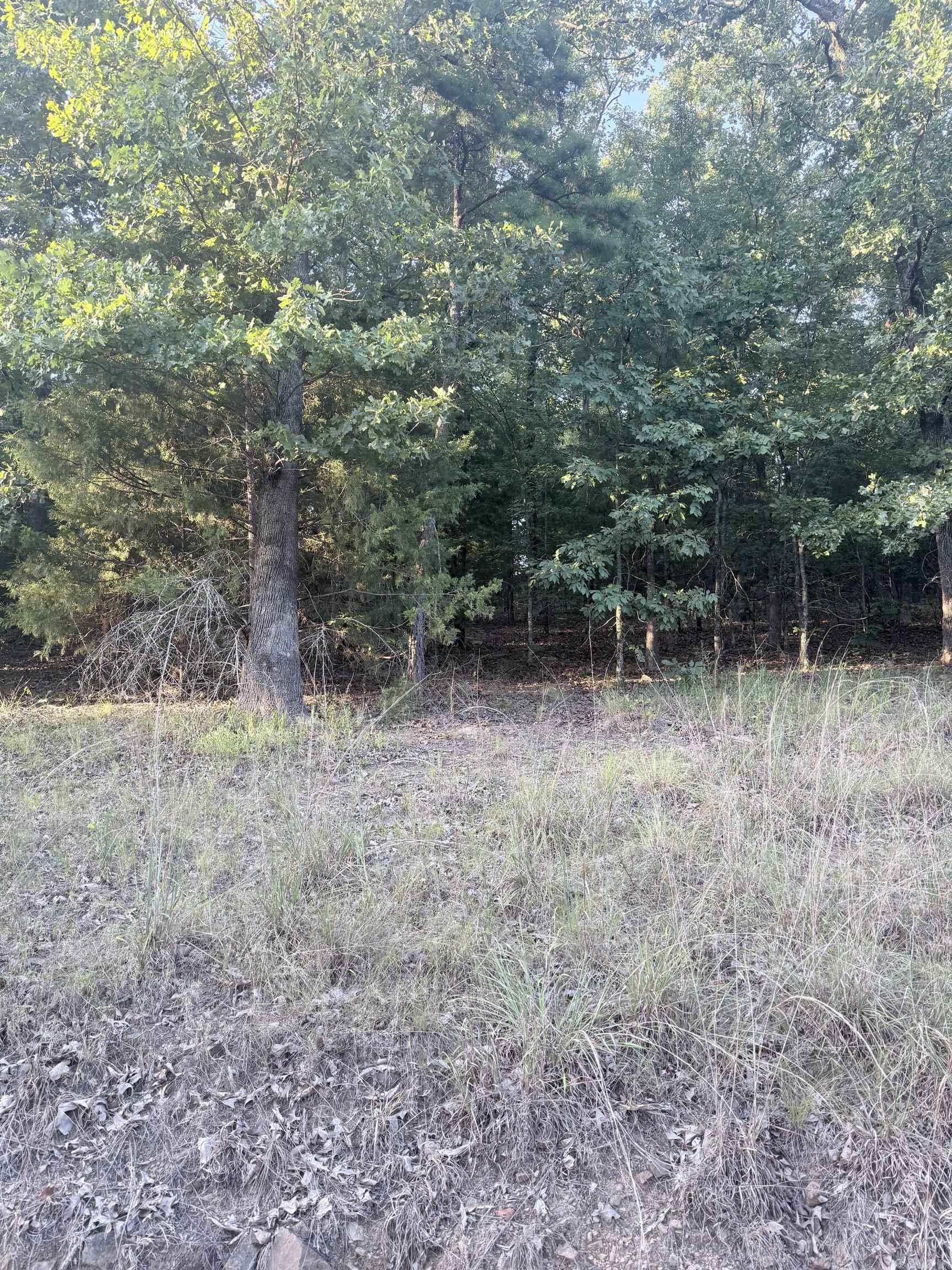 lot 13 Ridge  Mayflower, AR