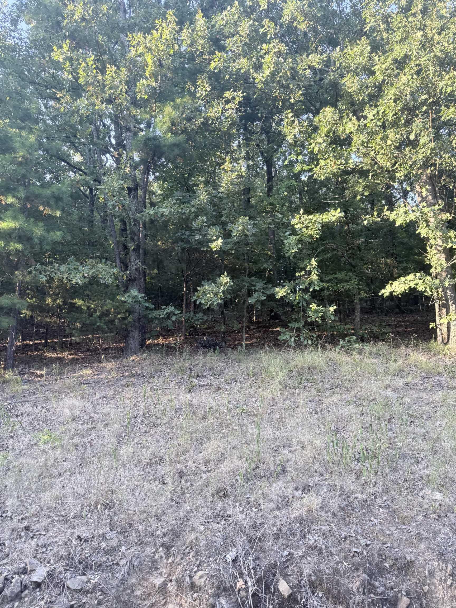 lot 13 Ridge  Mayflower, AR