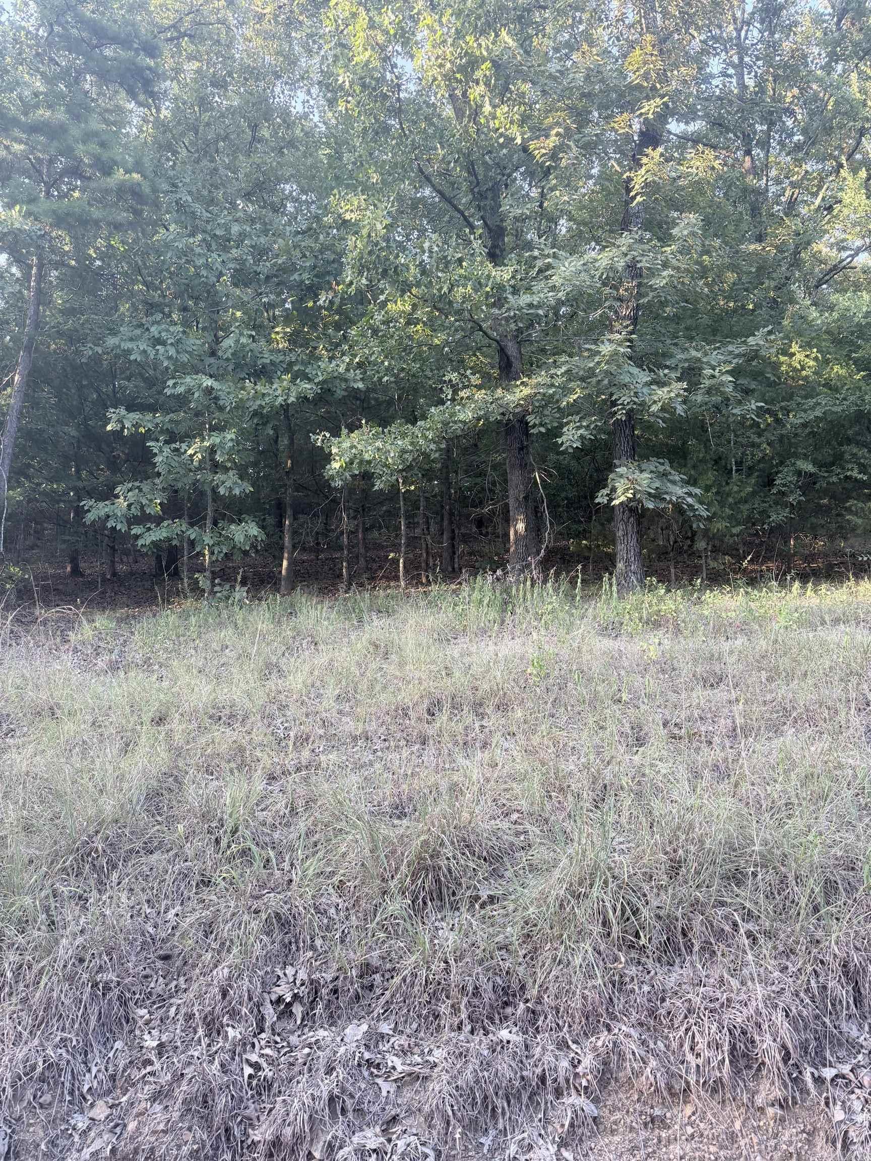 lot 13 Ridge  Mayflower, AR