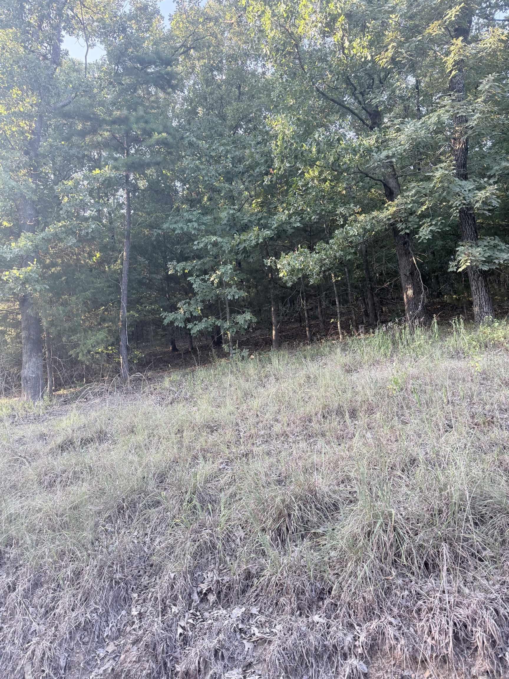 lot 14 Ridge  Mayflower, AR