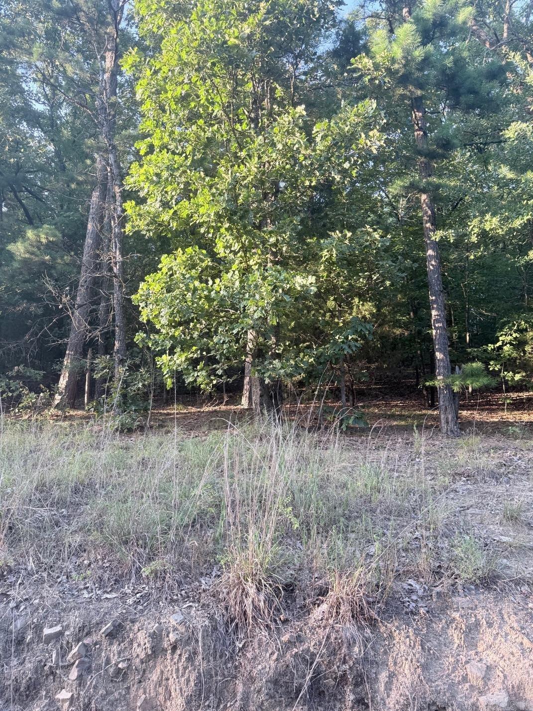 lot 14 Ridge  Mayflower, AR
