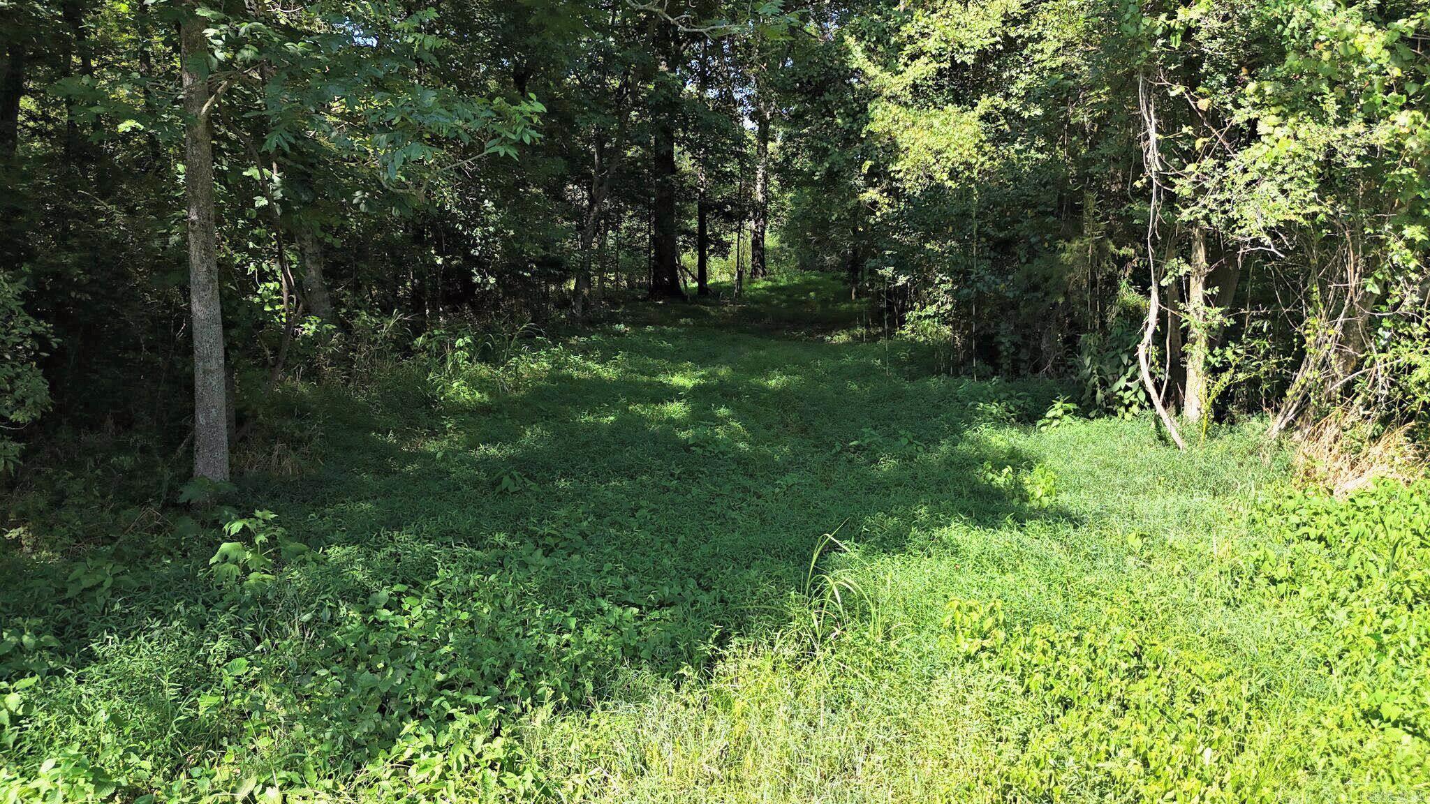 1337 Polk Road 38  Hatfield, AR