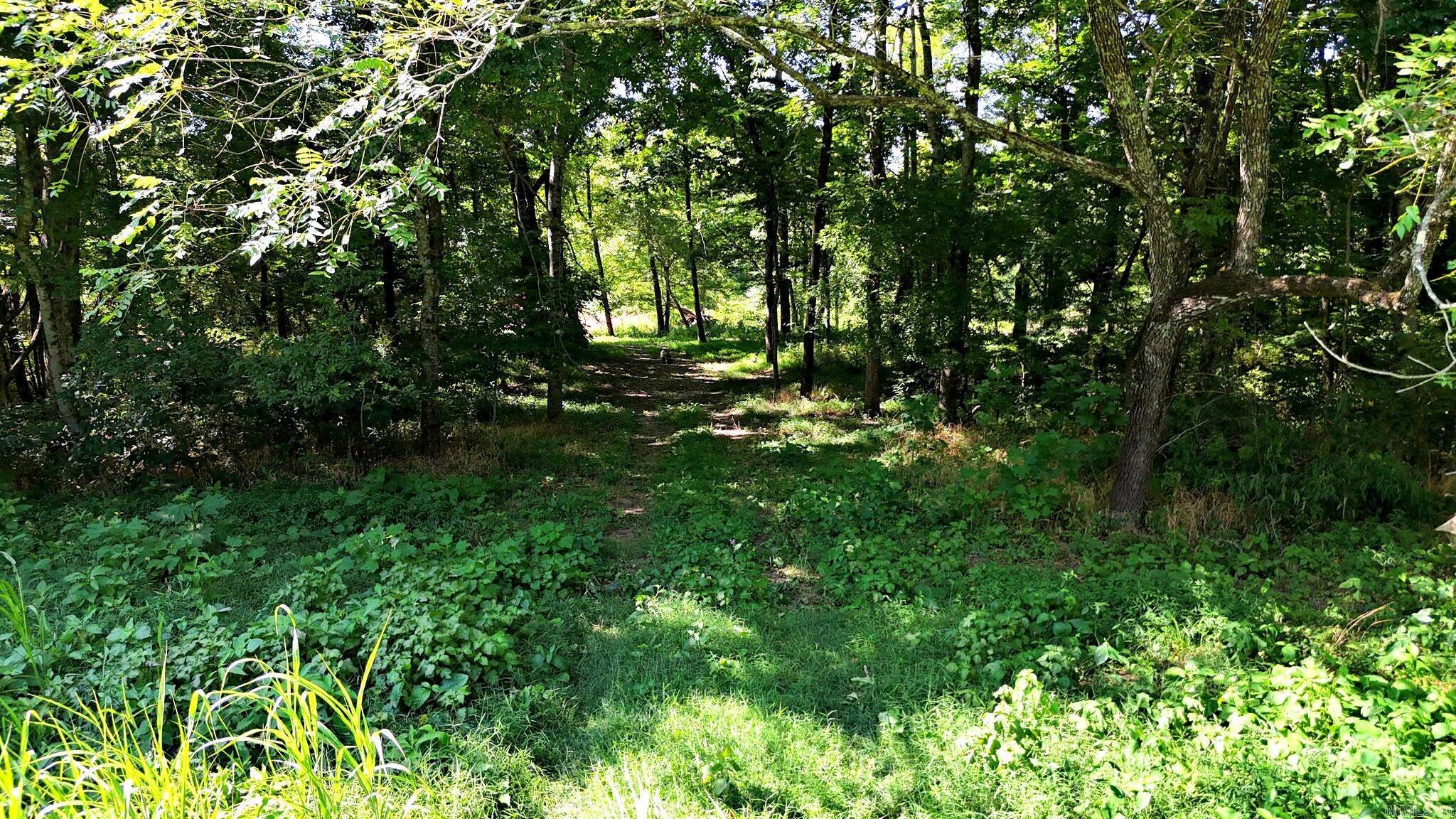 1337 Polk Road 38  Hatfield, AR