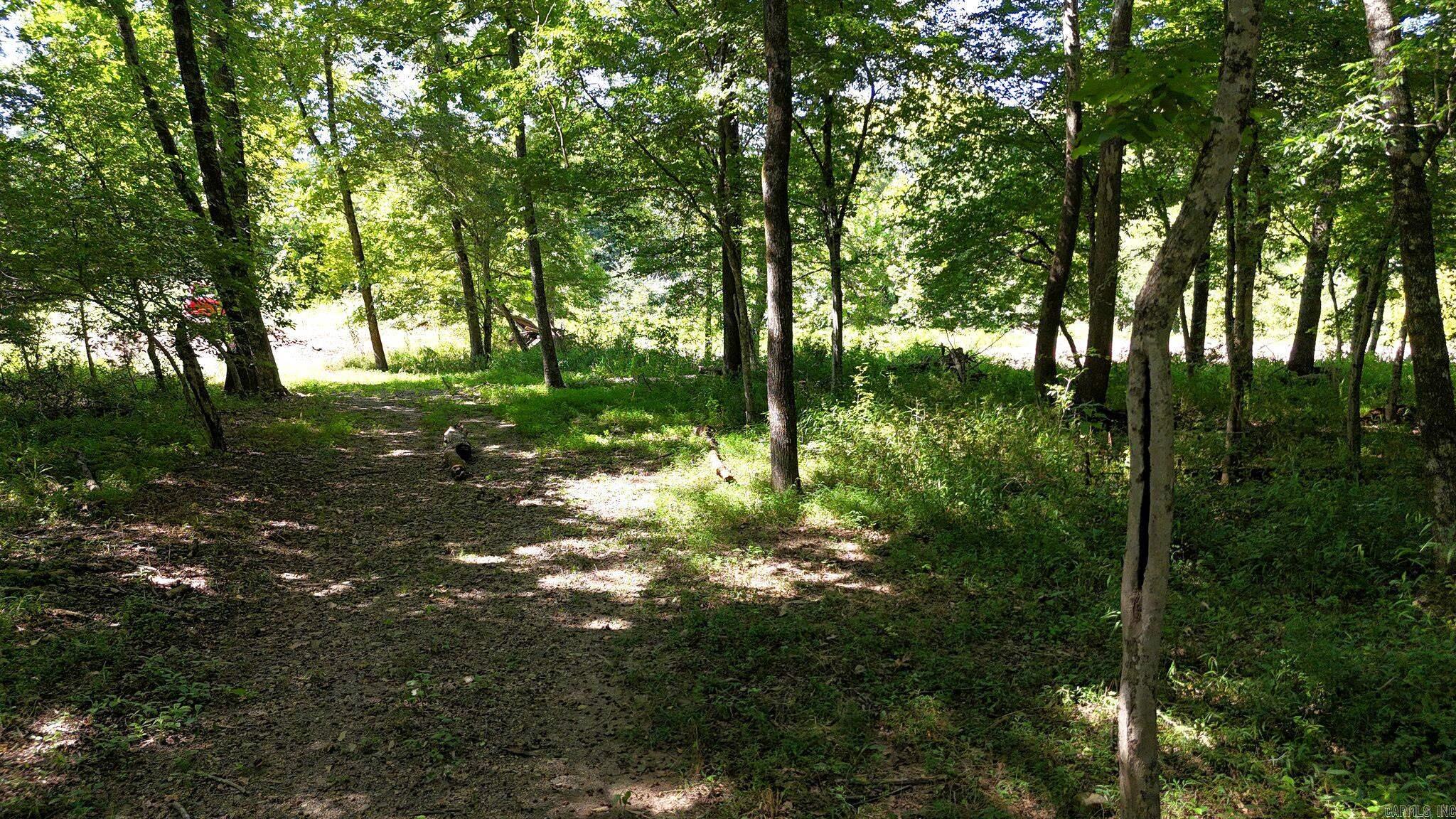 1337 Polk Road 38  Hatfield, AR