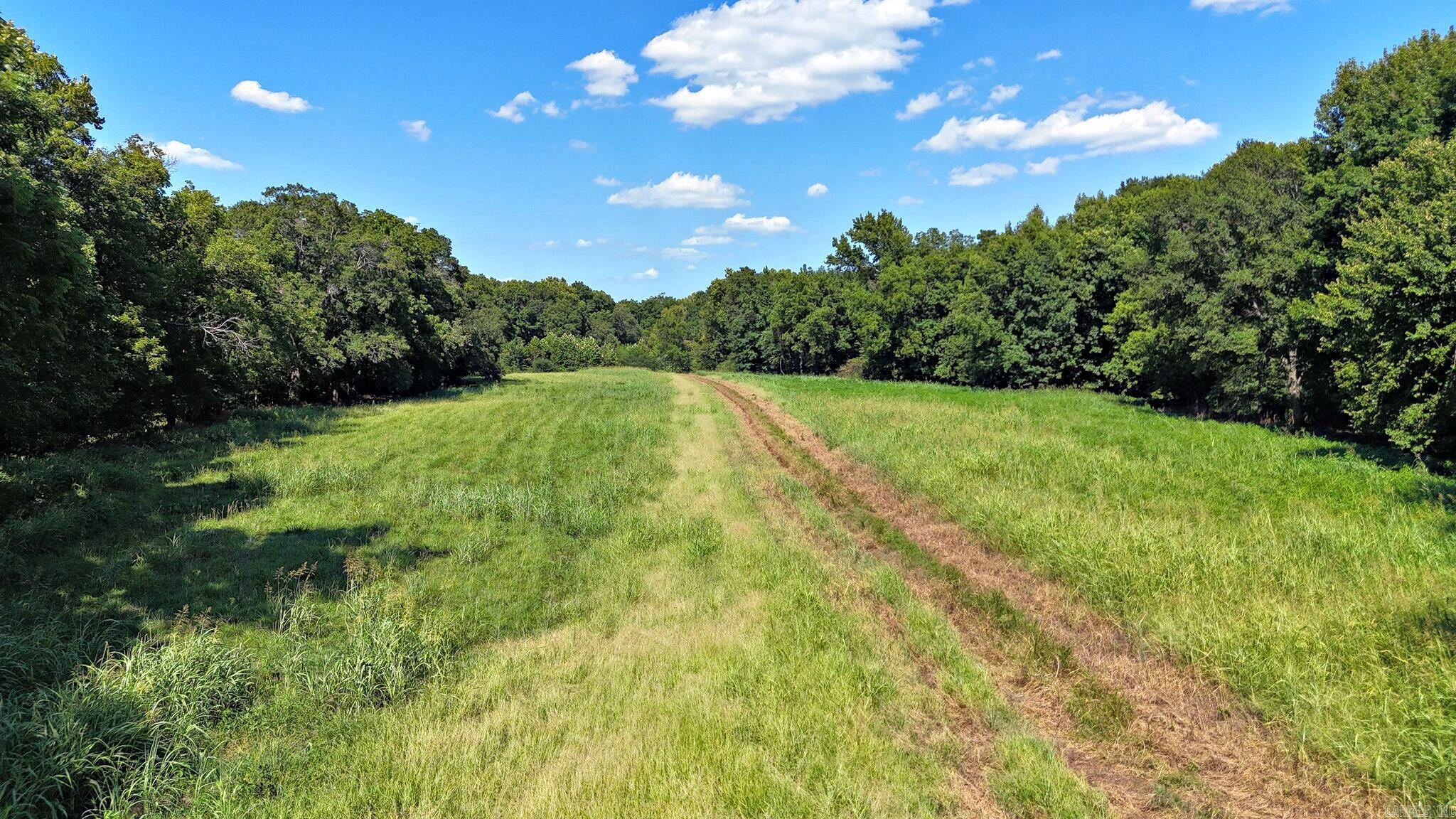1337 Polk Road 38  Hatfield, AR