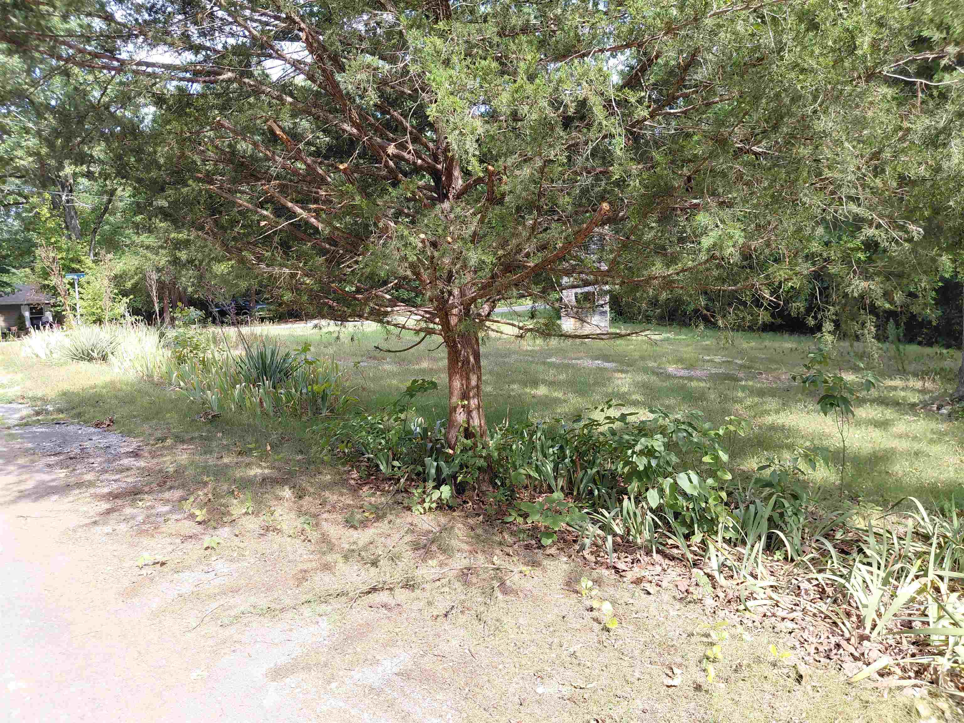 239 Hiawatha  Cherokee Village, AR