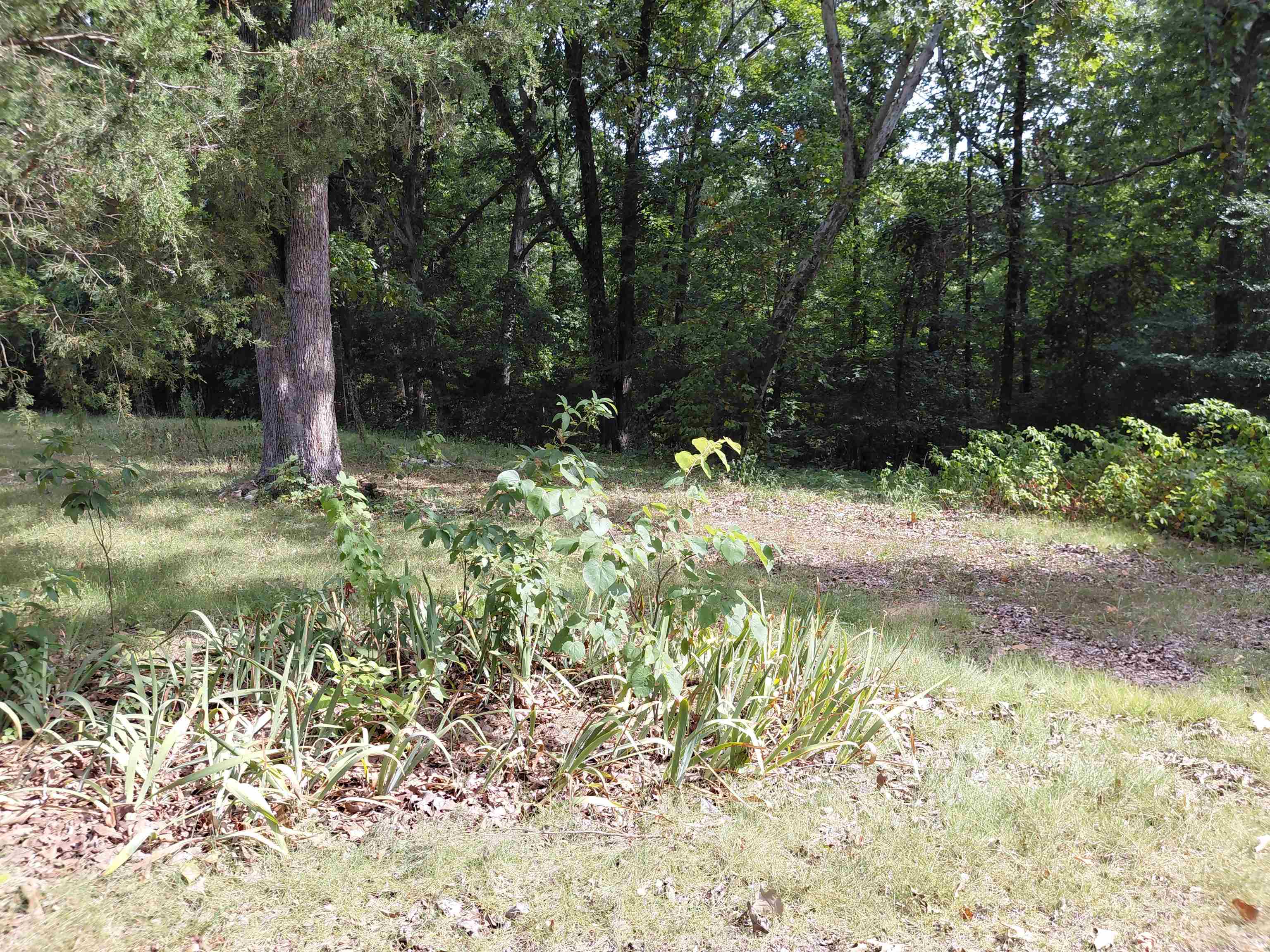 239 Hiawatha  Cherokee Village, AR