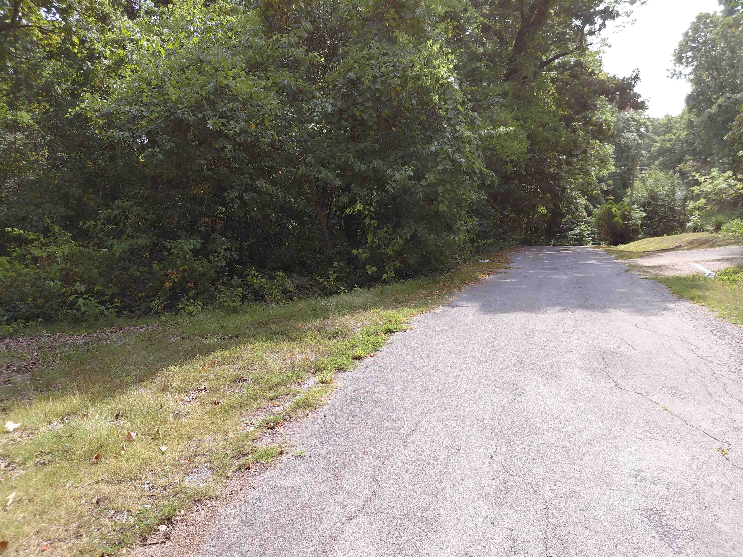 239 Hiawatha  Cherokee Village, AR