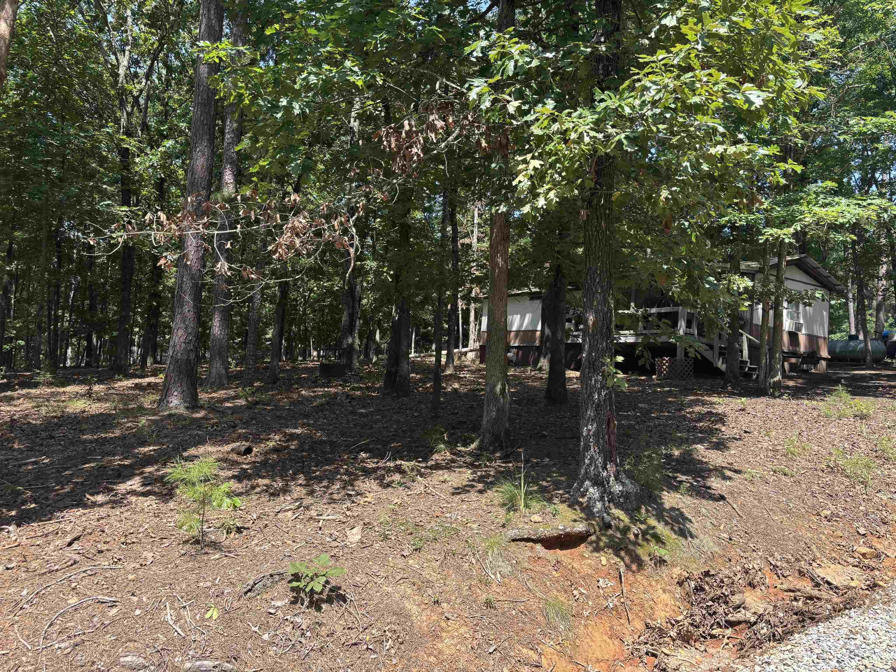 40 Ponca  Edgemont, AR