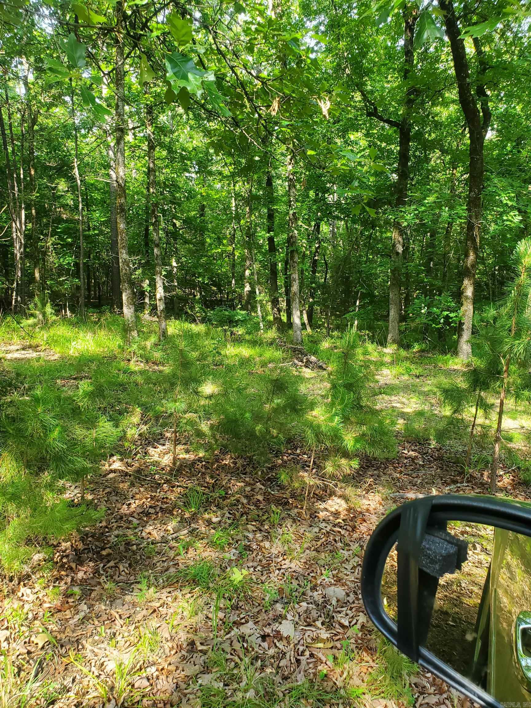 TBD Nella Road  Waldron, AR