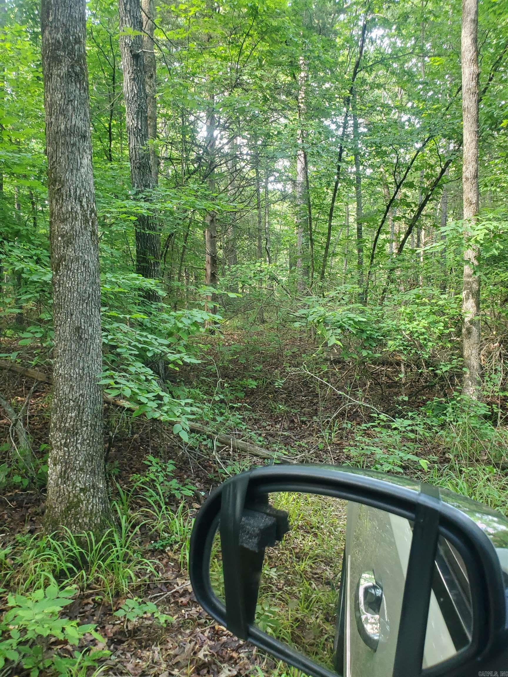 TBD Nella Road  Waldron, AR