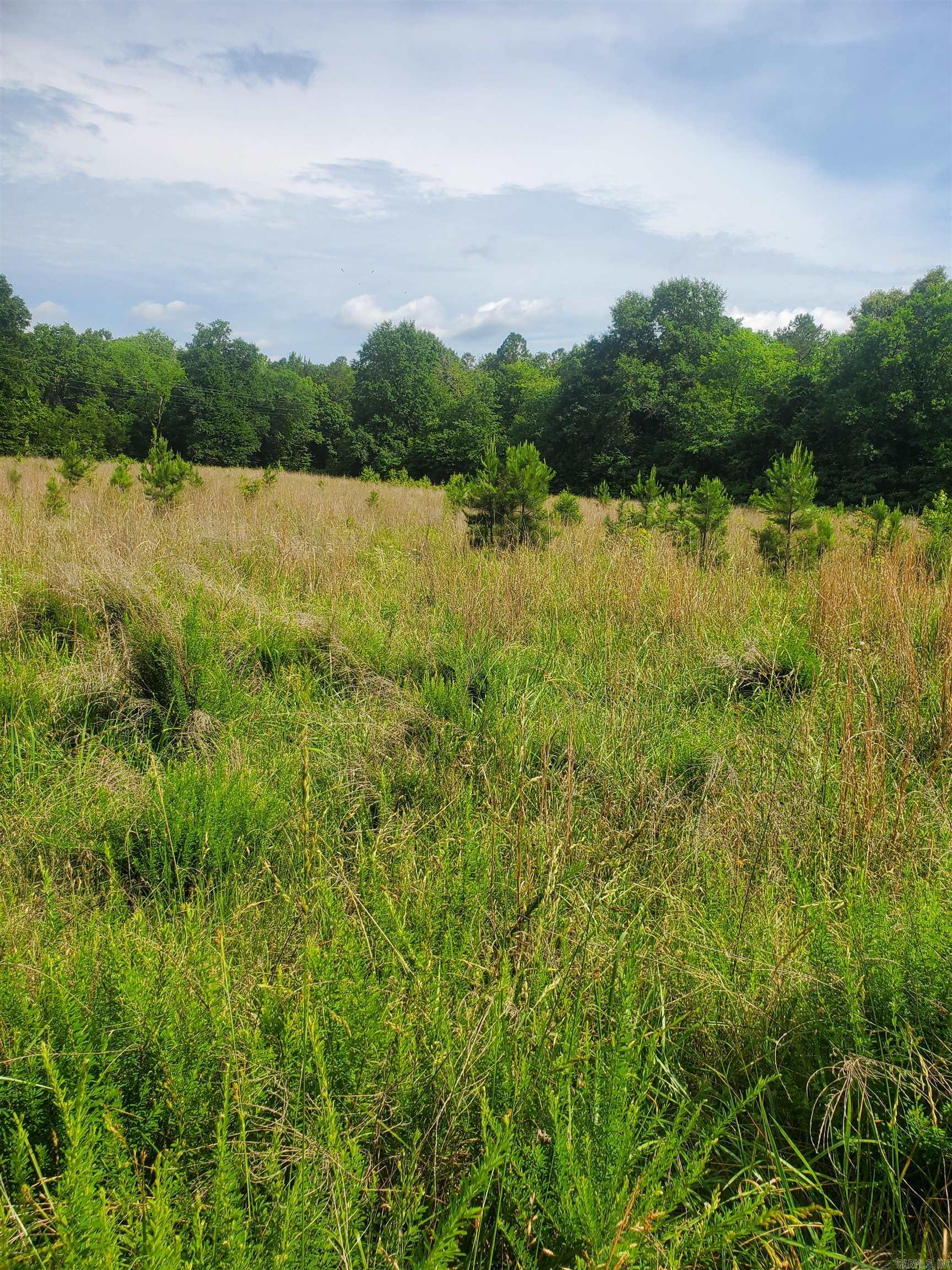 TBD Nella Road  Waldron, AR