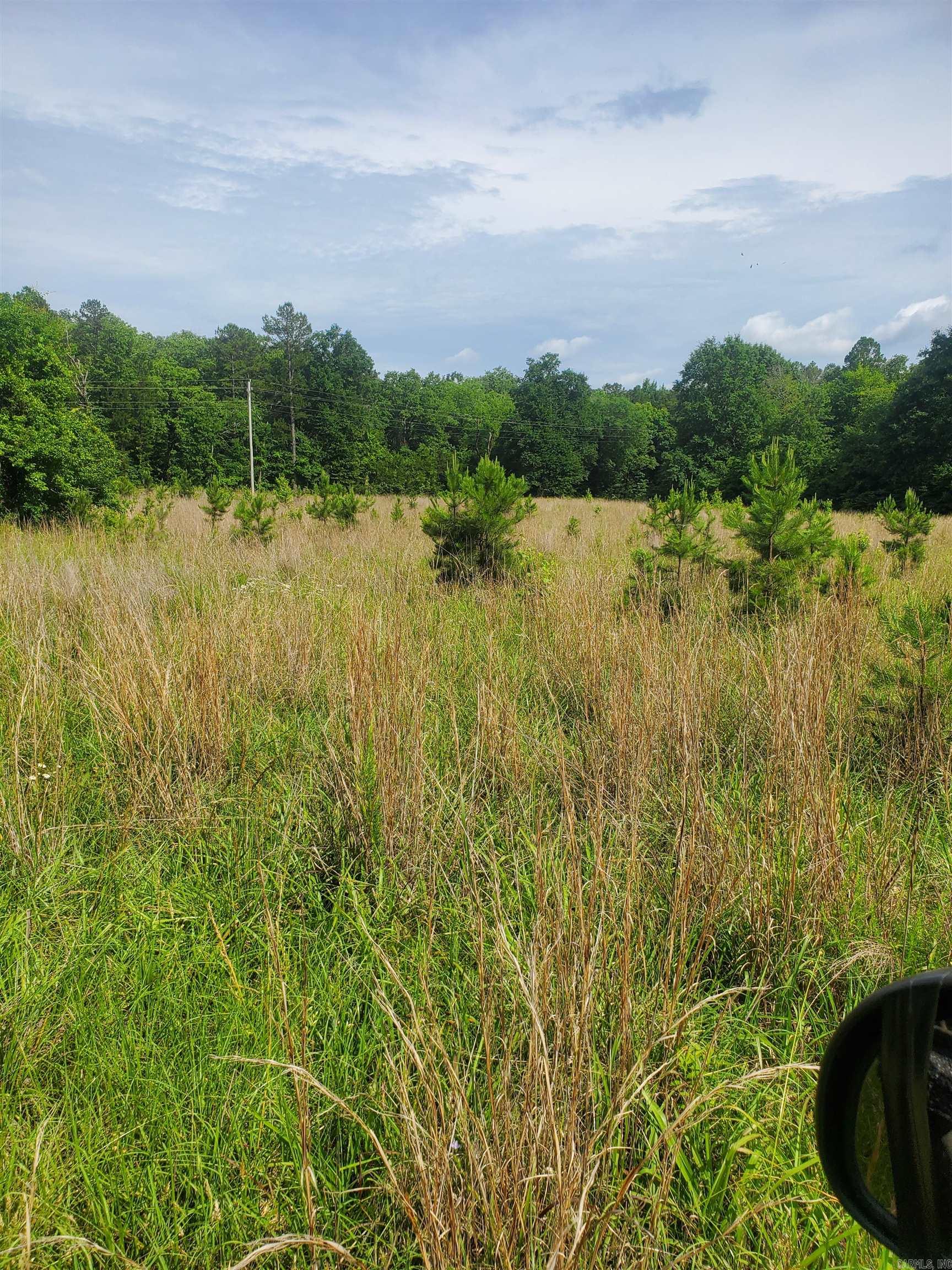 TBD Nella Road  Waldron, AR