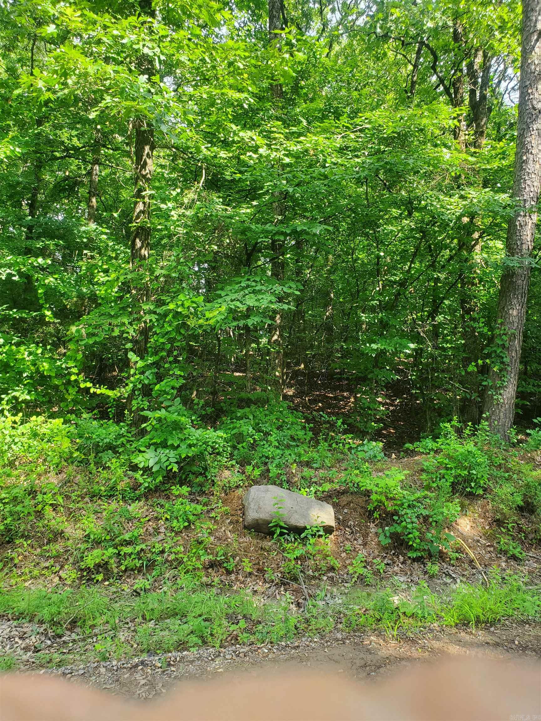 TBD Nella Road  Waldron, AR