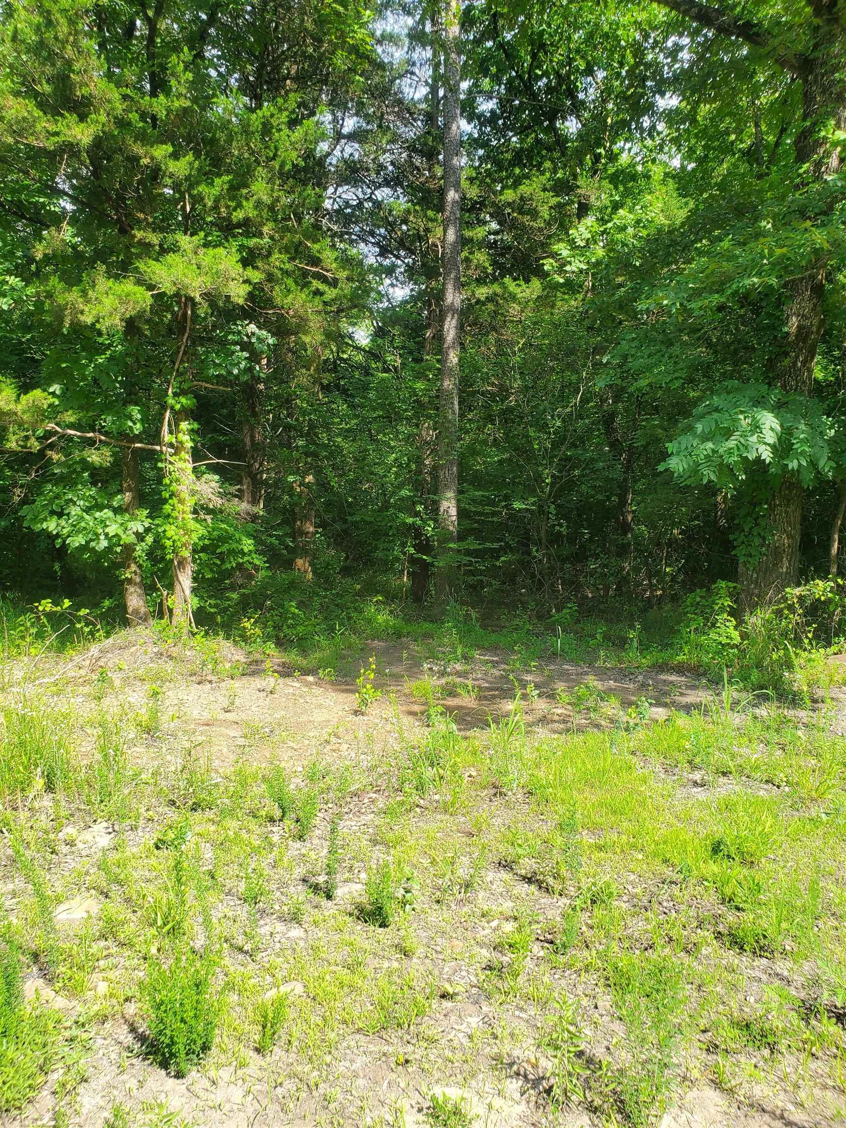 TBD Nella Road  Waldron, AR