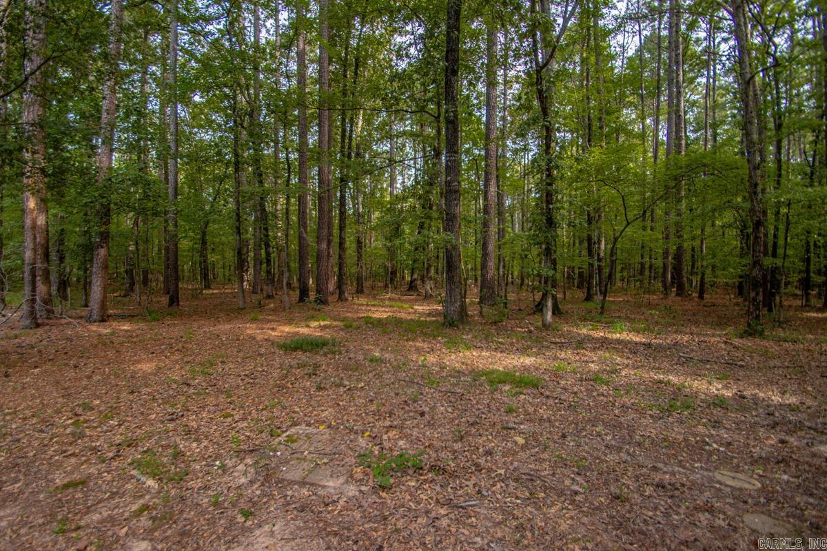 9900 Crickett Lane  Mabelvale, AR