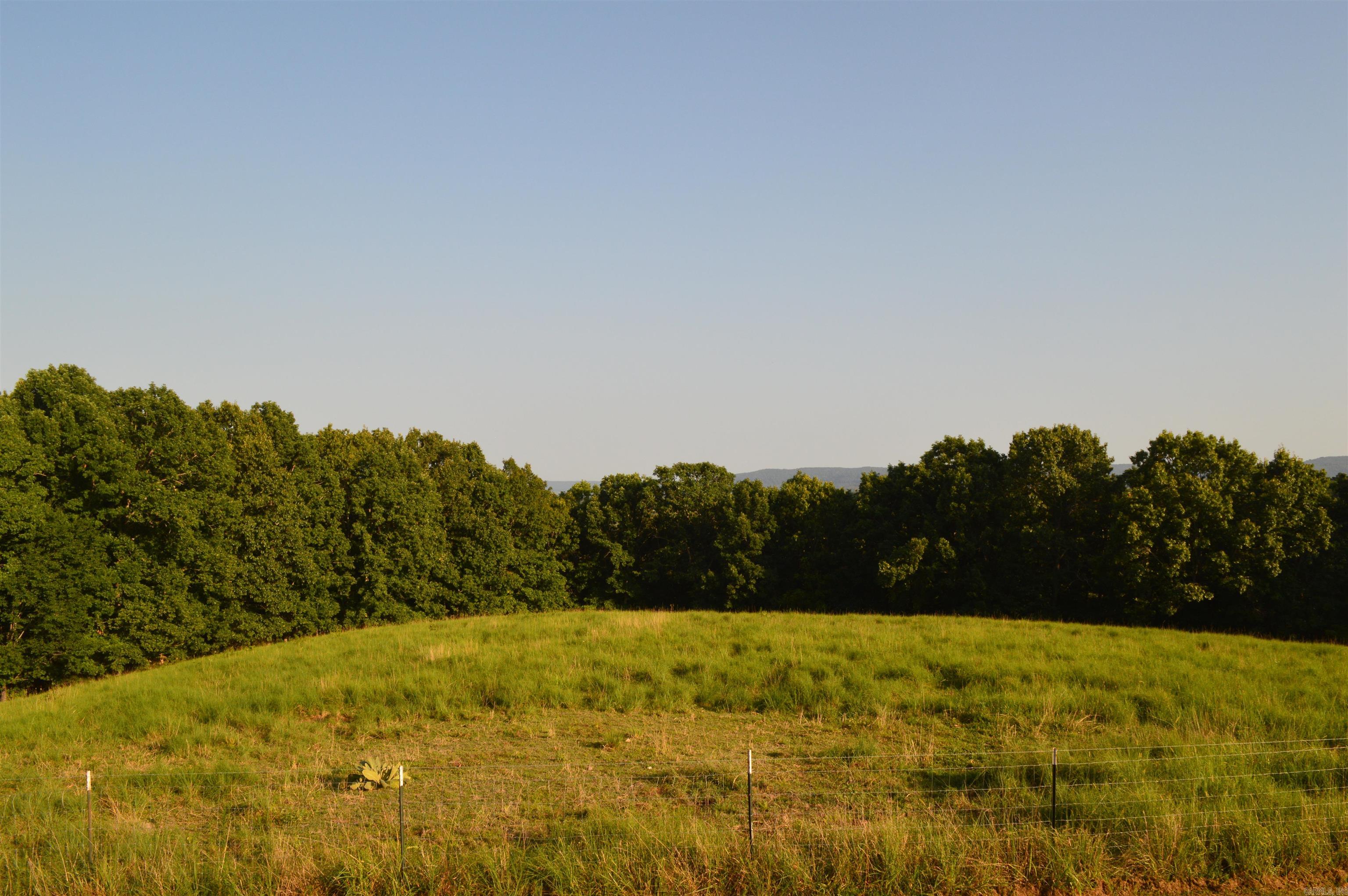 1234 grassy  Marshall, AR