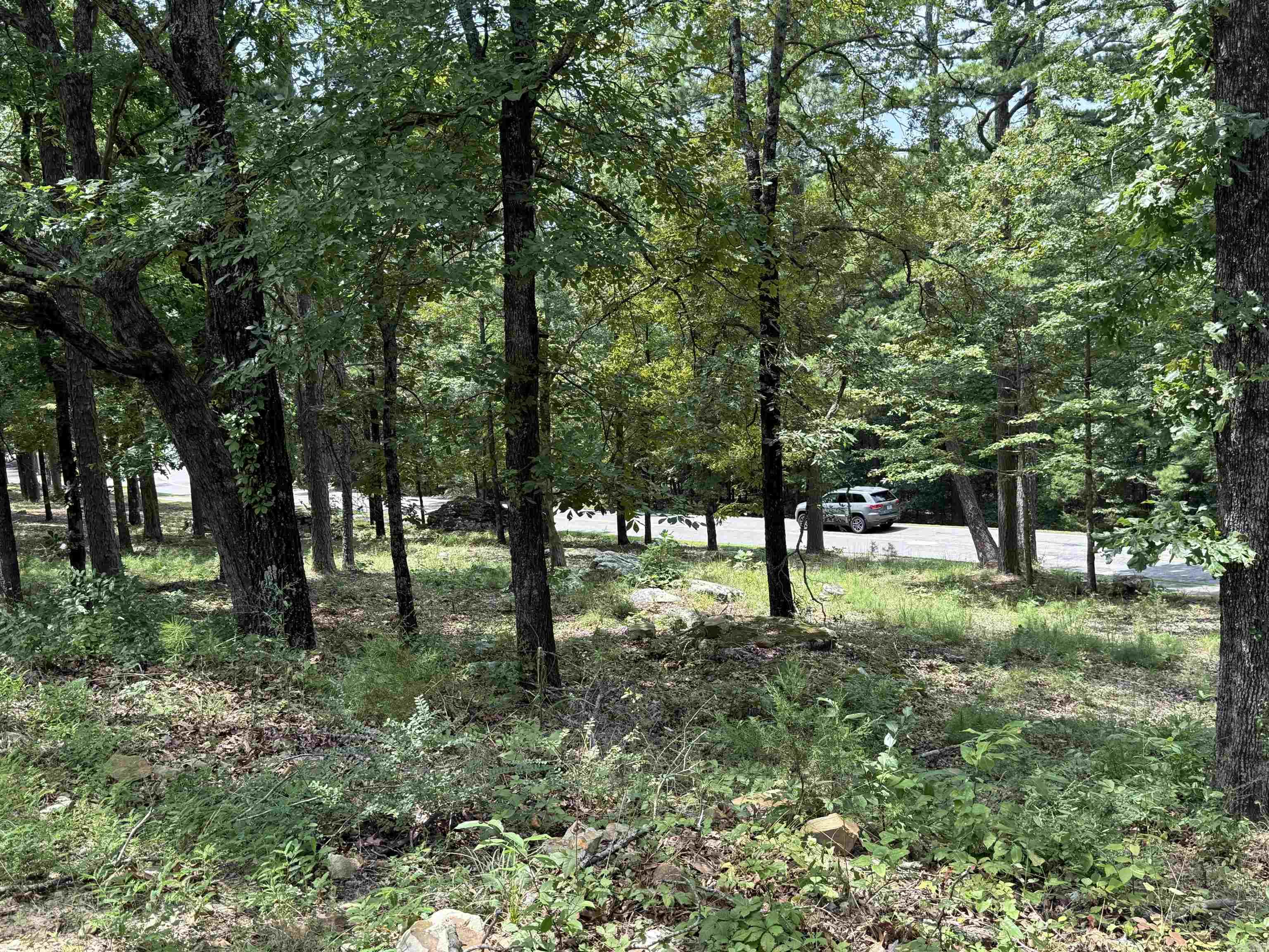 104 Chelsea Dr. #67  Fairfield Bay, AR