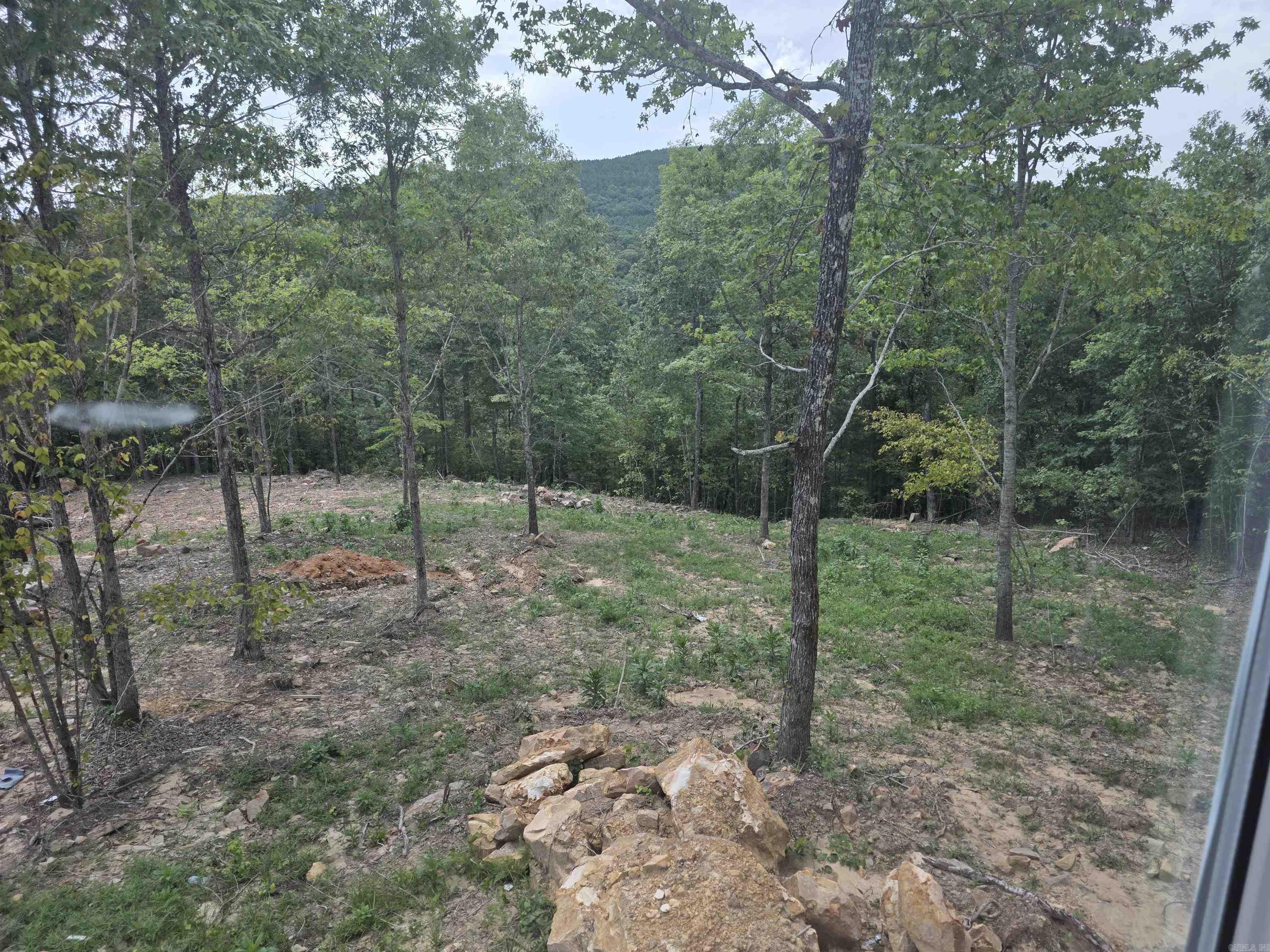 100 Scenic View  Edgemont, AR
