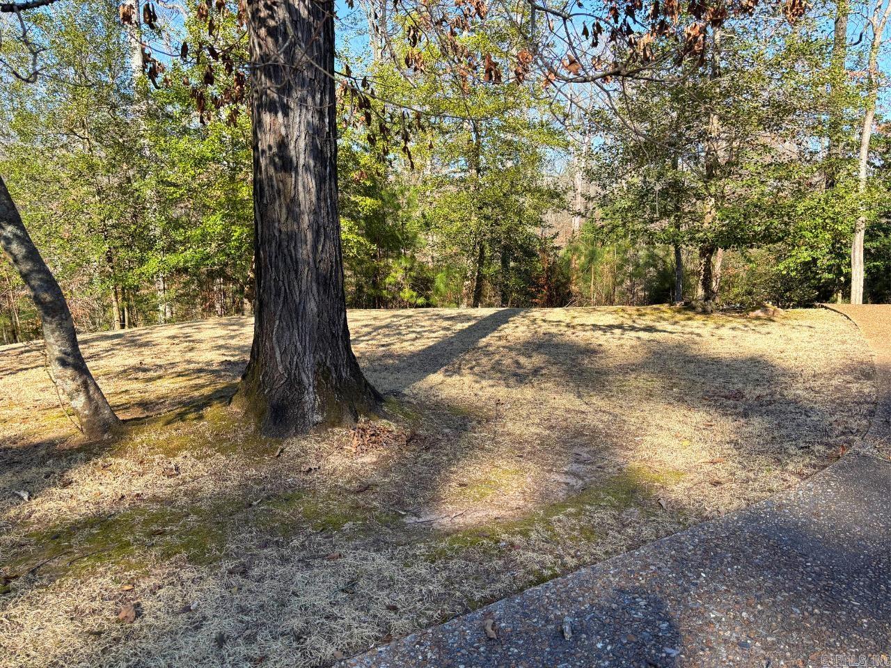 12 Chaffee Creek  Camden, AR