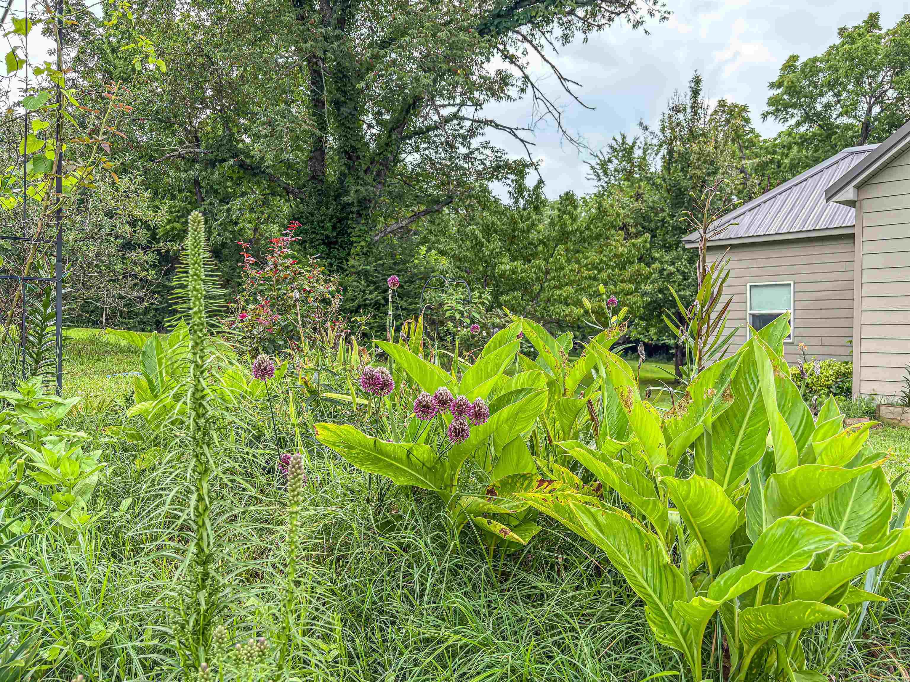 504 McLean  Cotter, AR