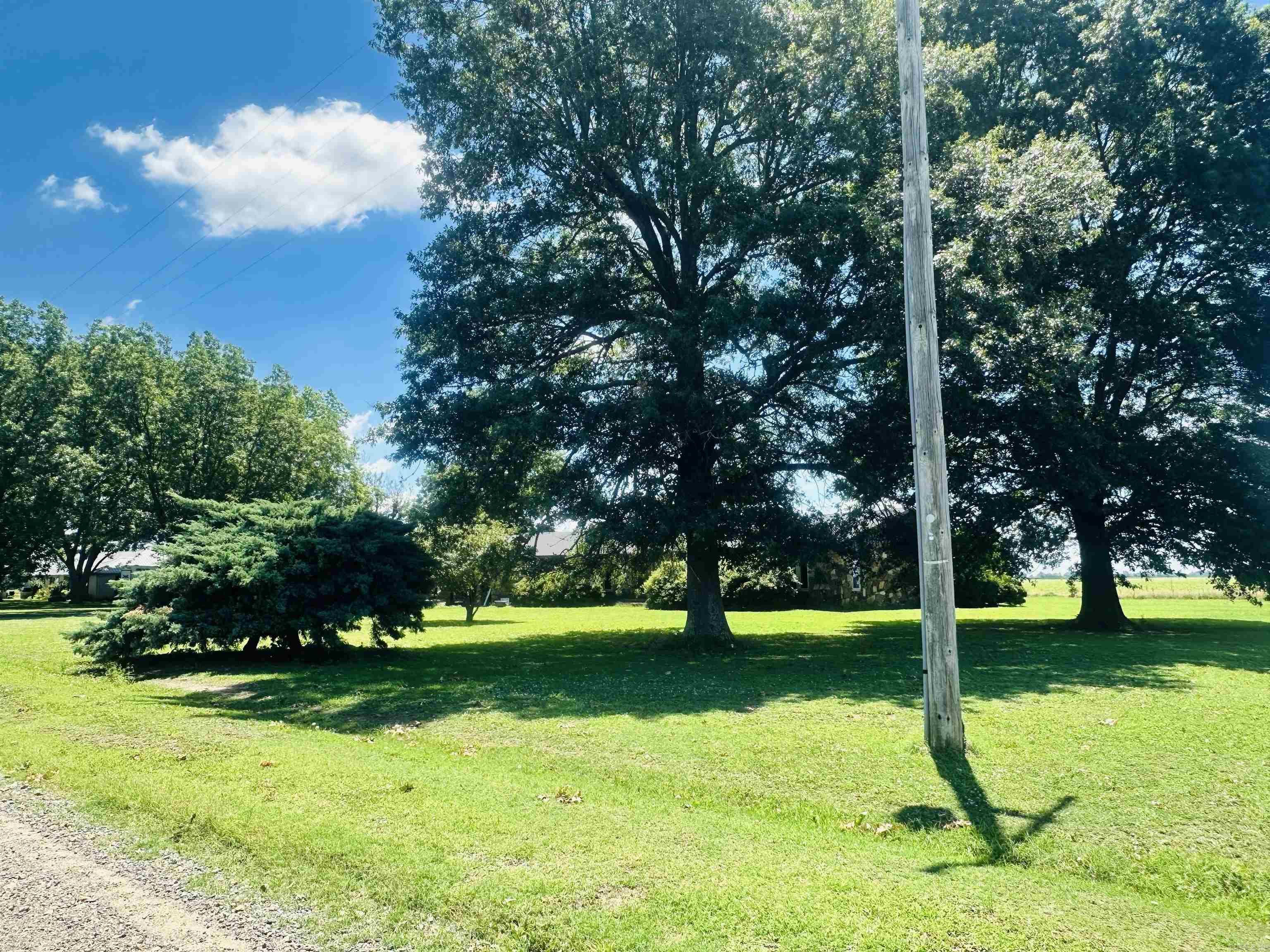 3071 W 538  Manila, AR
