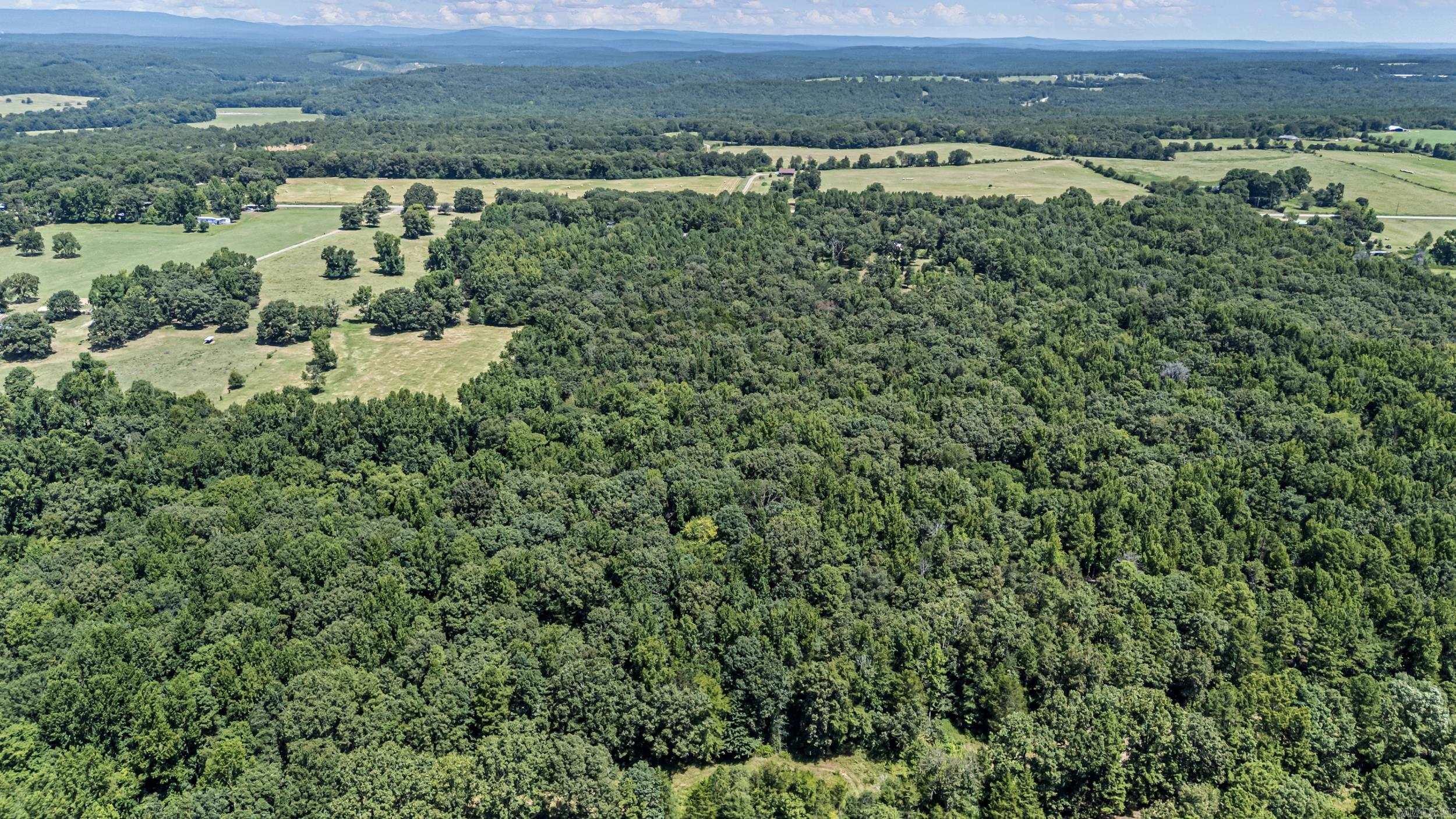 1770 Hwy 124 Hattieville, AR 72063