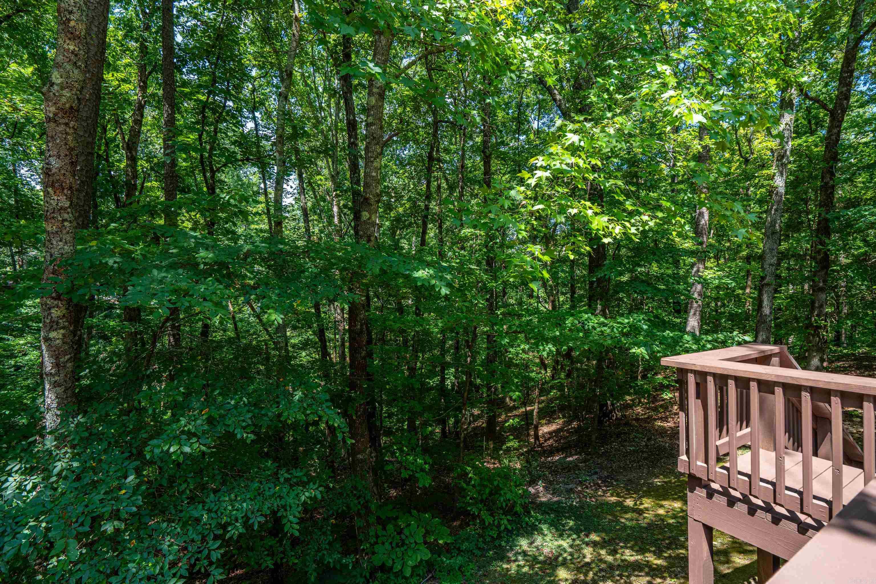 12 Emanuel  Hot Springs Village, AR