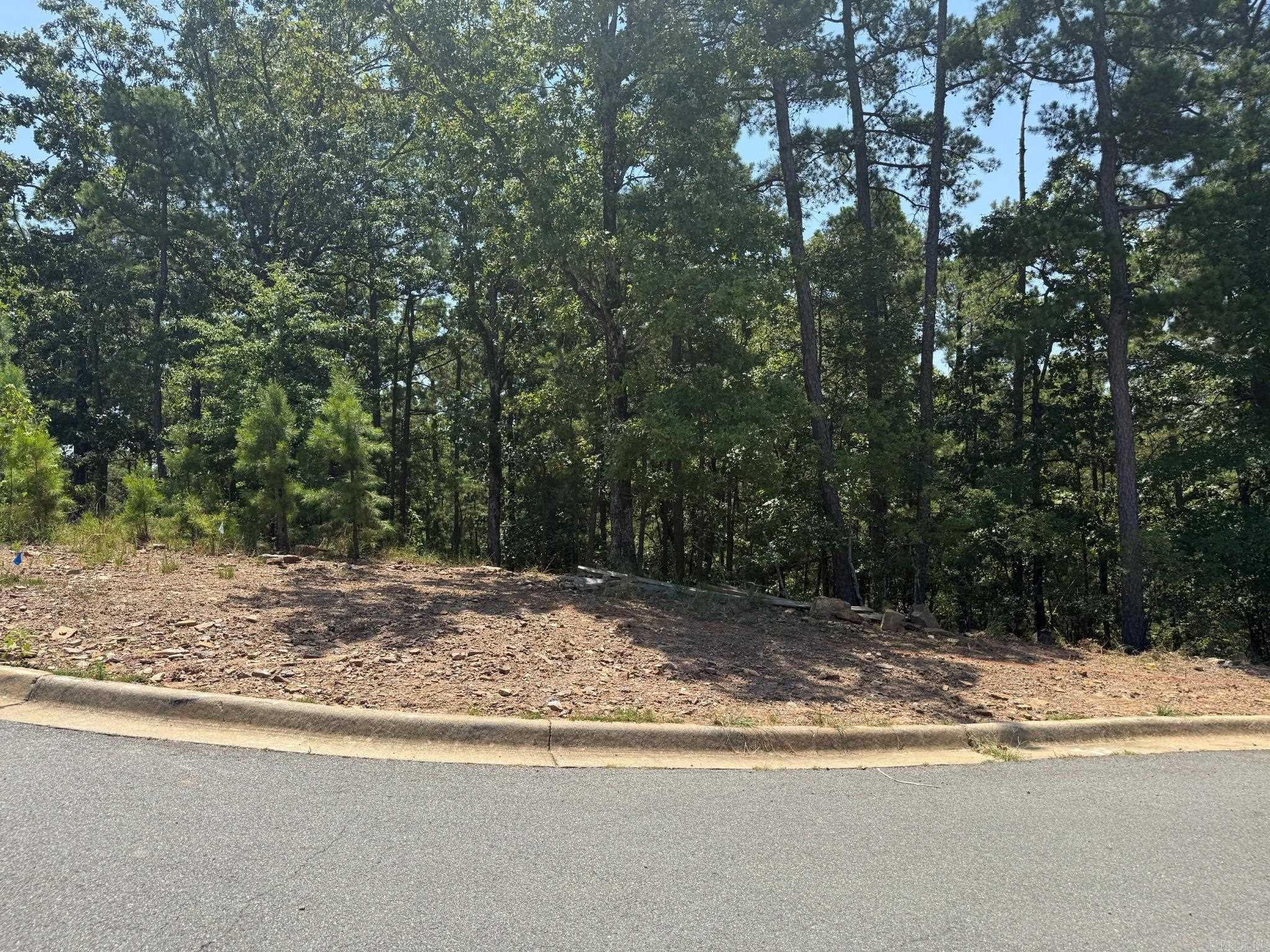 179 Ridgeview Trail — photo 4