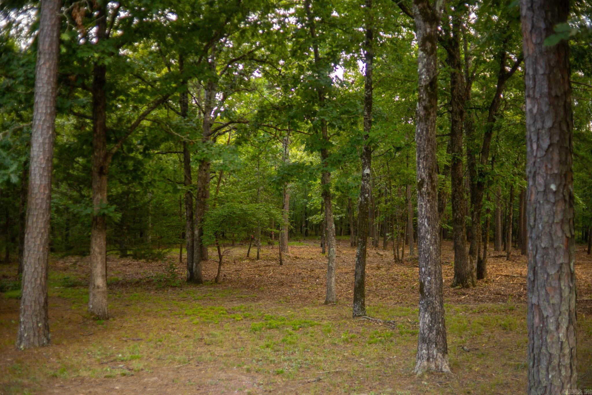 4193 Brewer  Edgemont, AR