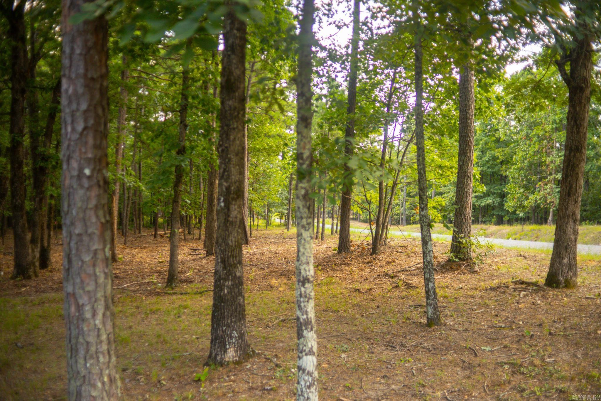 4193 Brewer  Edgemont, AR