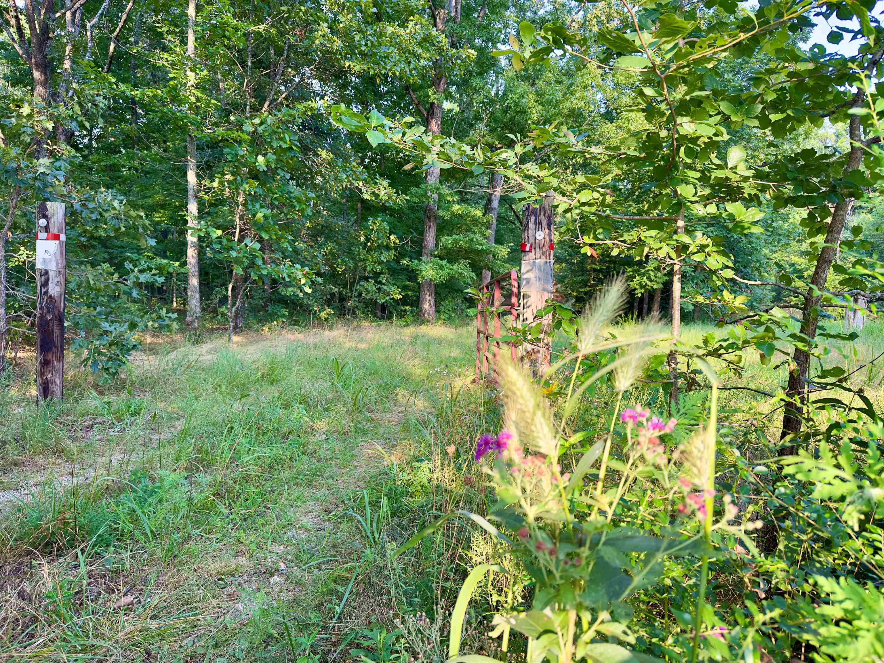 464 Acres  Williford, AR