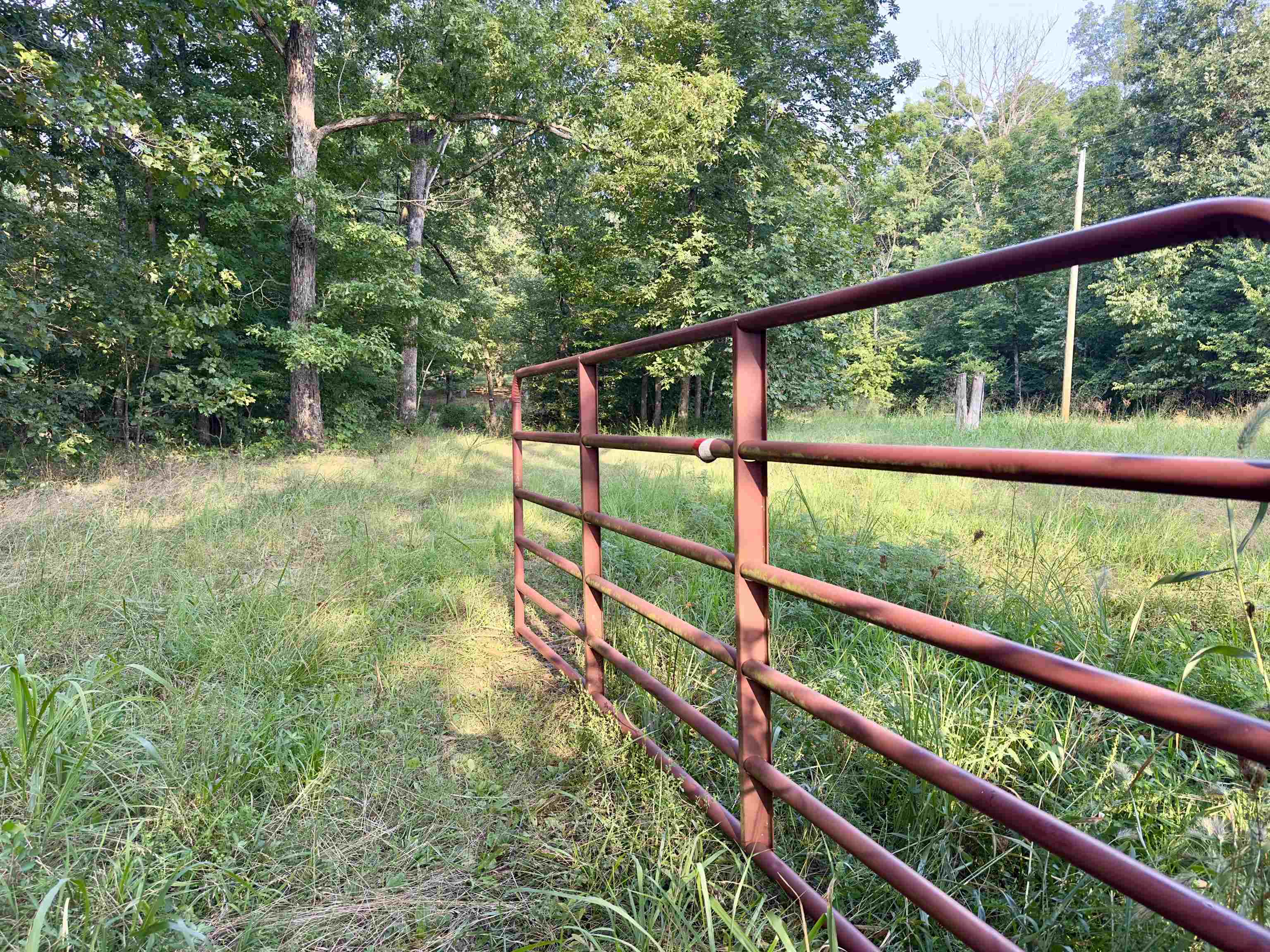 464 Acres  Williford, AR